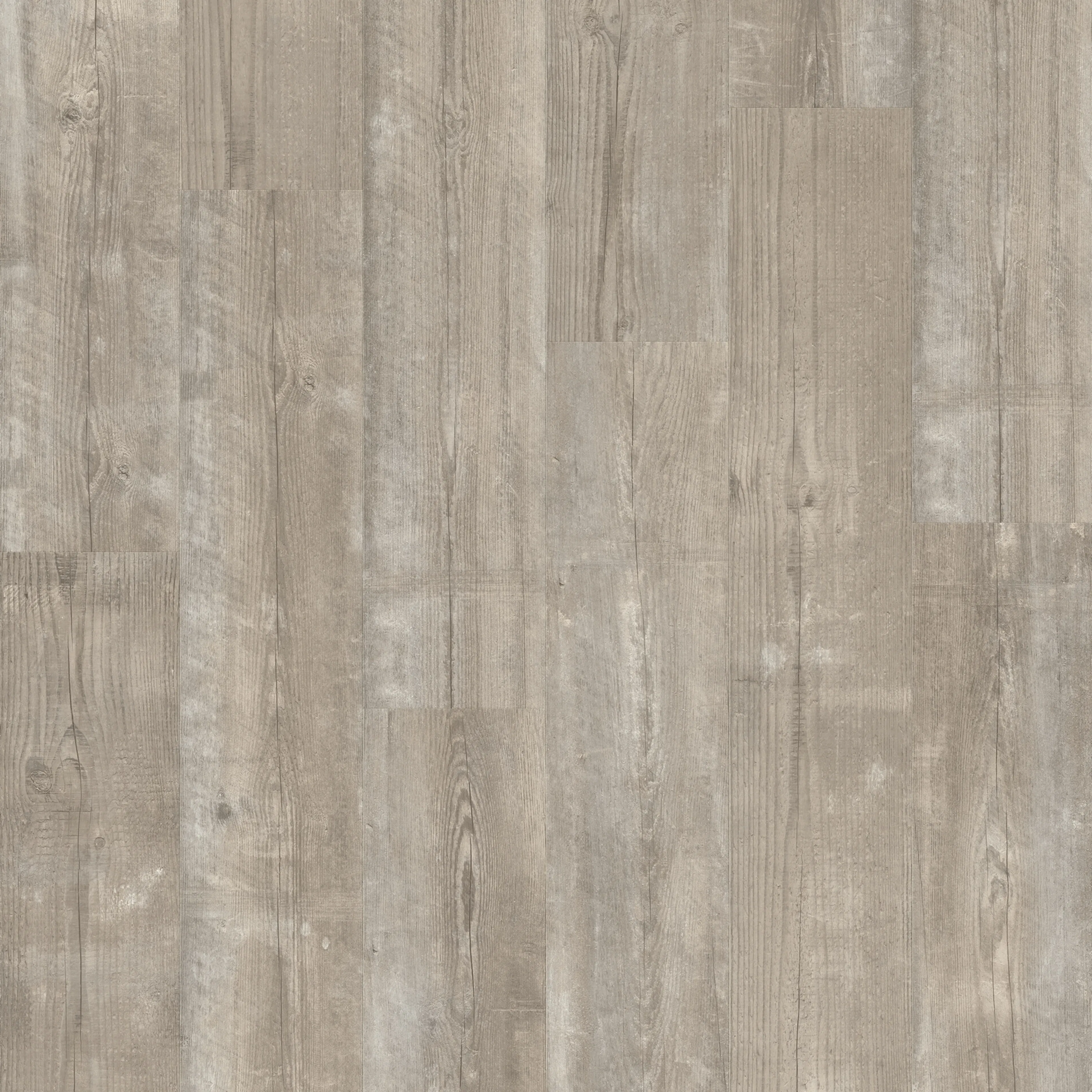 Vinylgulv Pergo Lysefjord Grey Cloud Pine