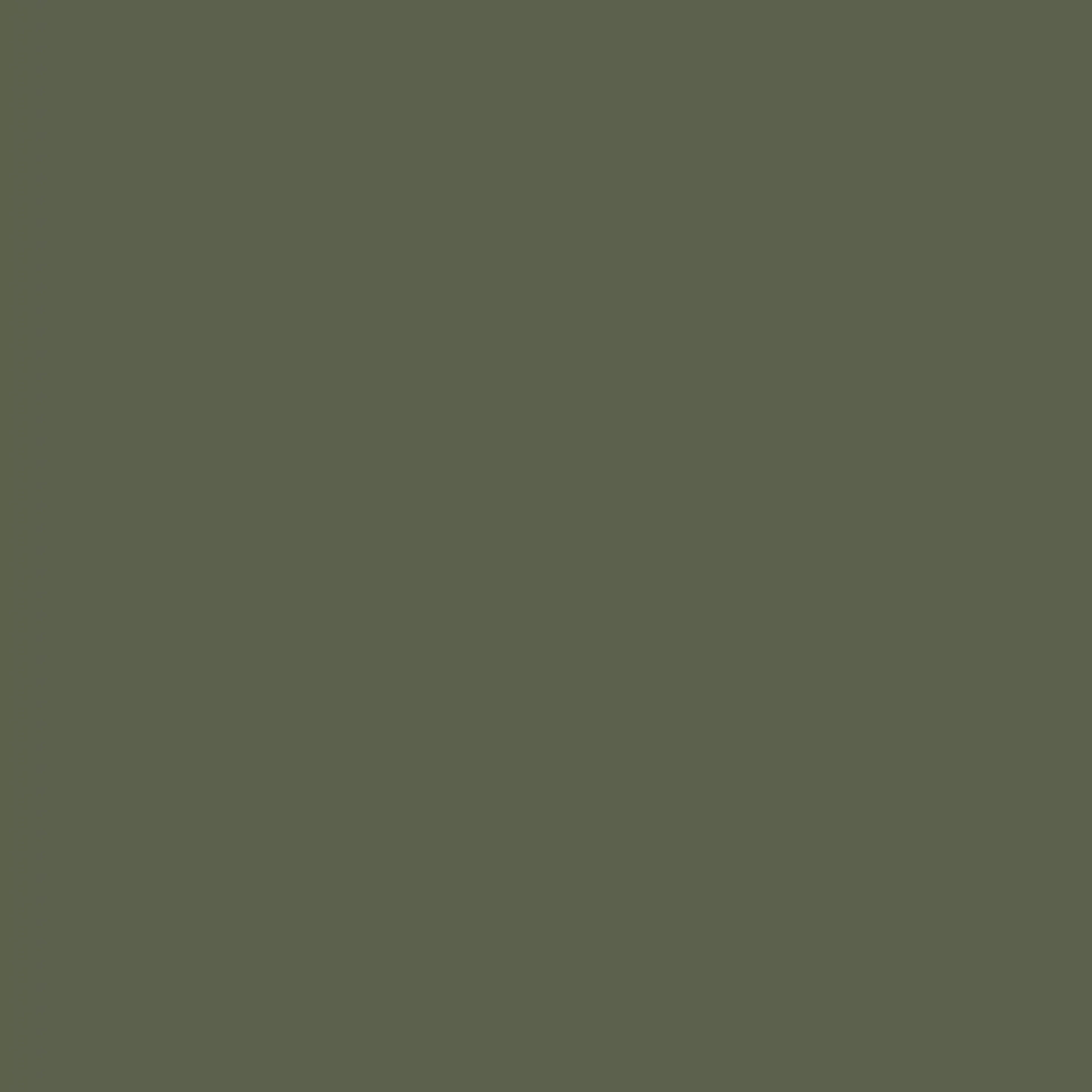 Olivengrønn RAL 6003
