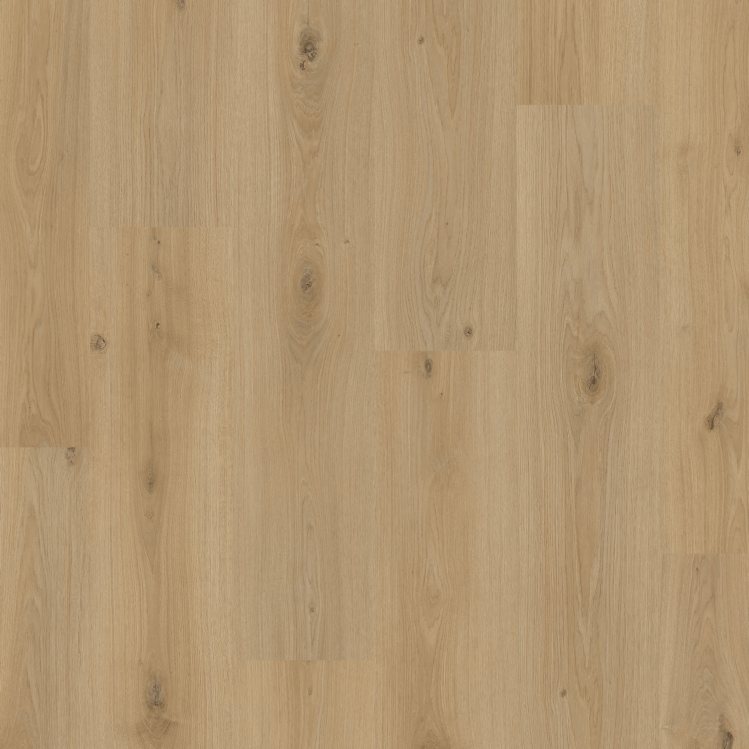 Laminatgulv Pergo Perstorp Vineyard Oak