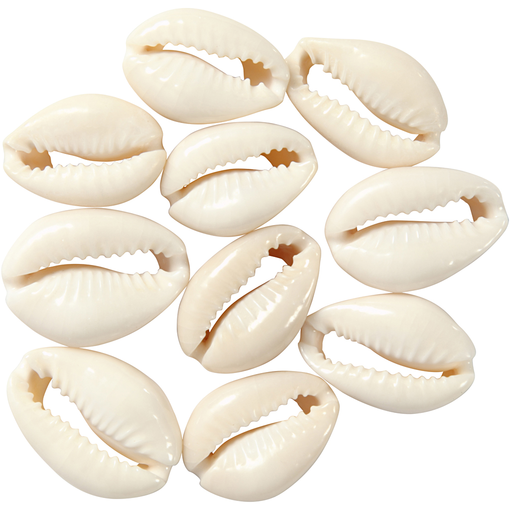 Snäckskal, natur, L: 20 mm, 12 st./ 1 förp. Natur, 12 st