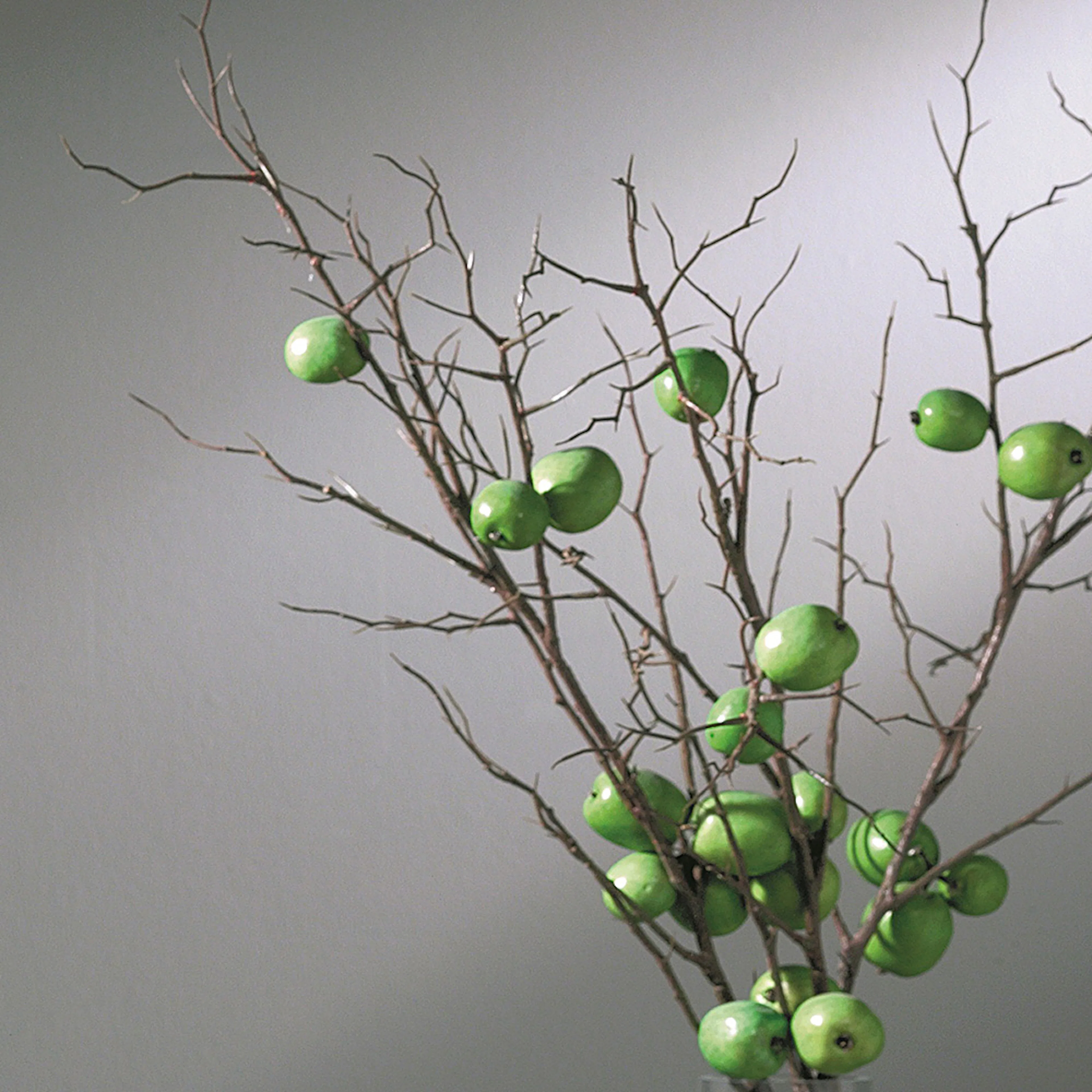 BYTTE SWEDOOR STD GLASS TIL KLART GLASS Klart Glass
