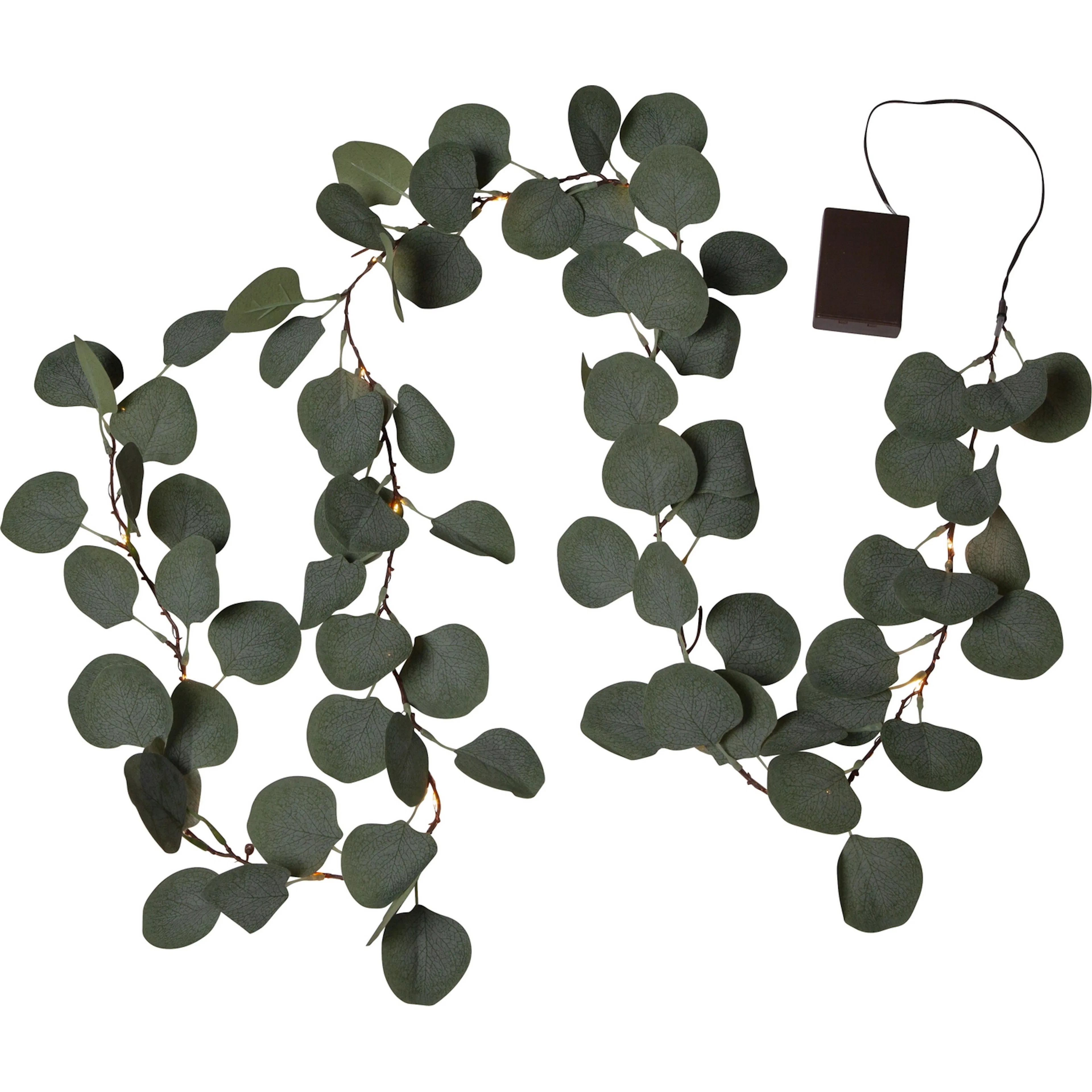 Girlander Star Trading Eucalyptus