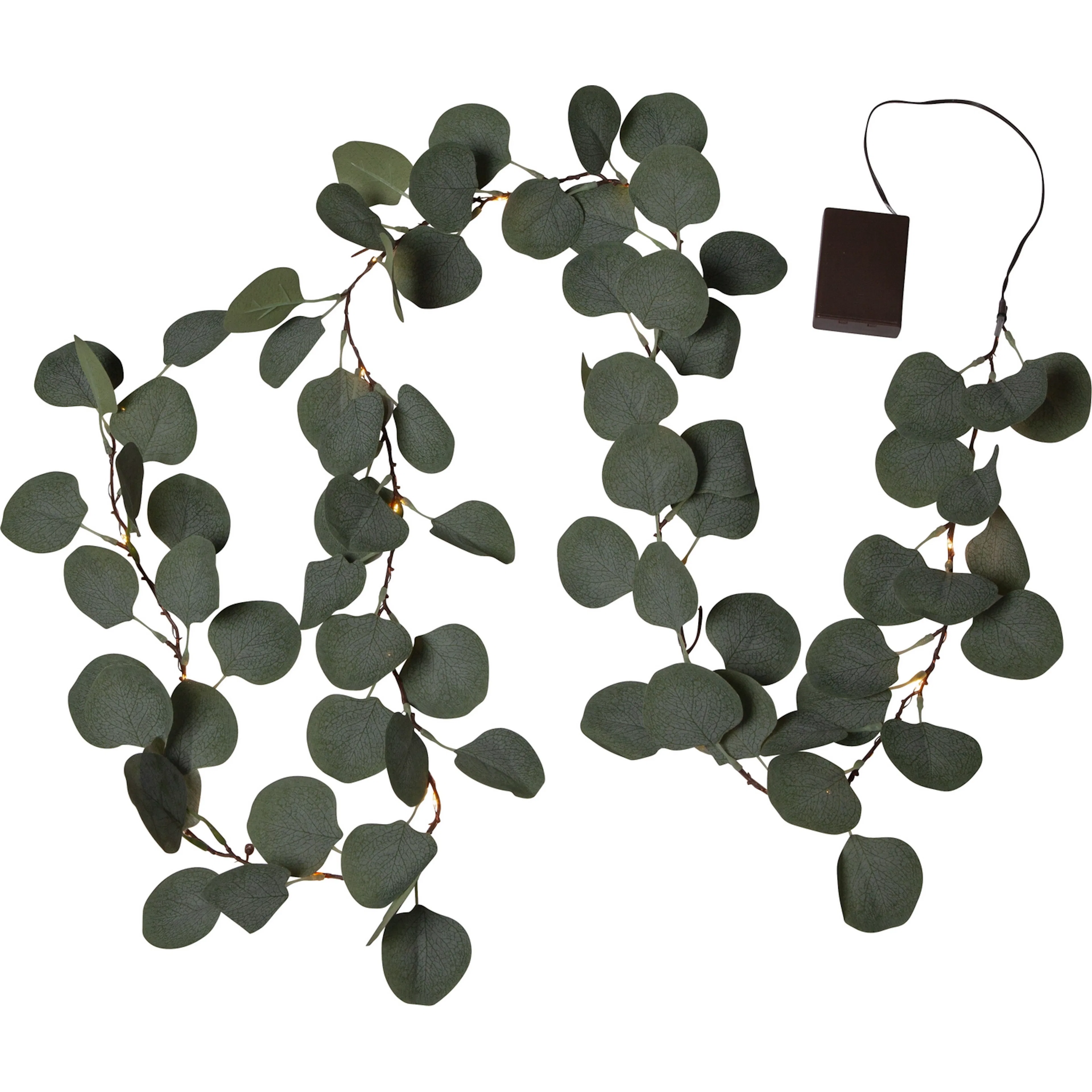 Girlander Star Trading Eucalyptus
