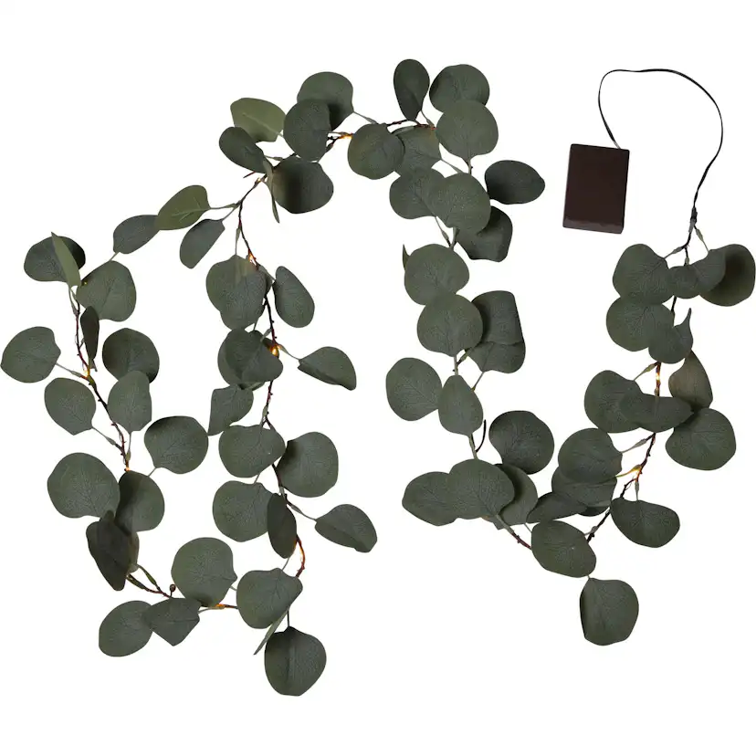 Girlander Star Trading Eucalyptus