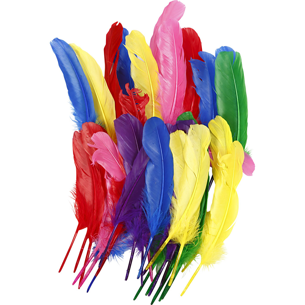Fjær Creativ Company Ass Farger 20 cm 36 stk/1 Pk
