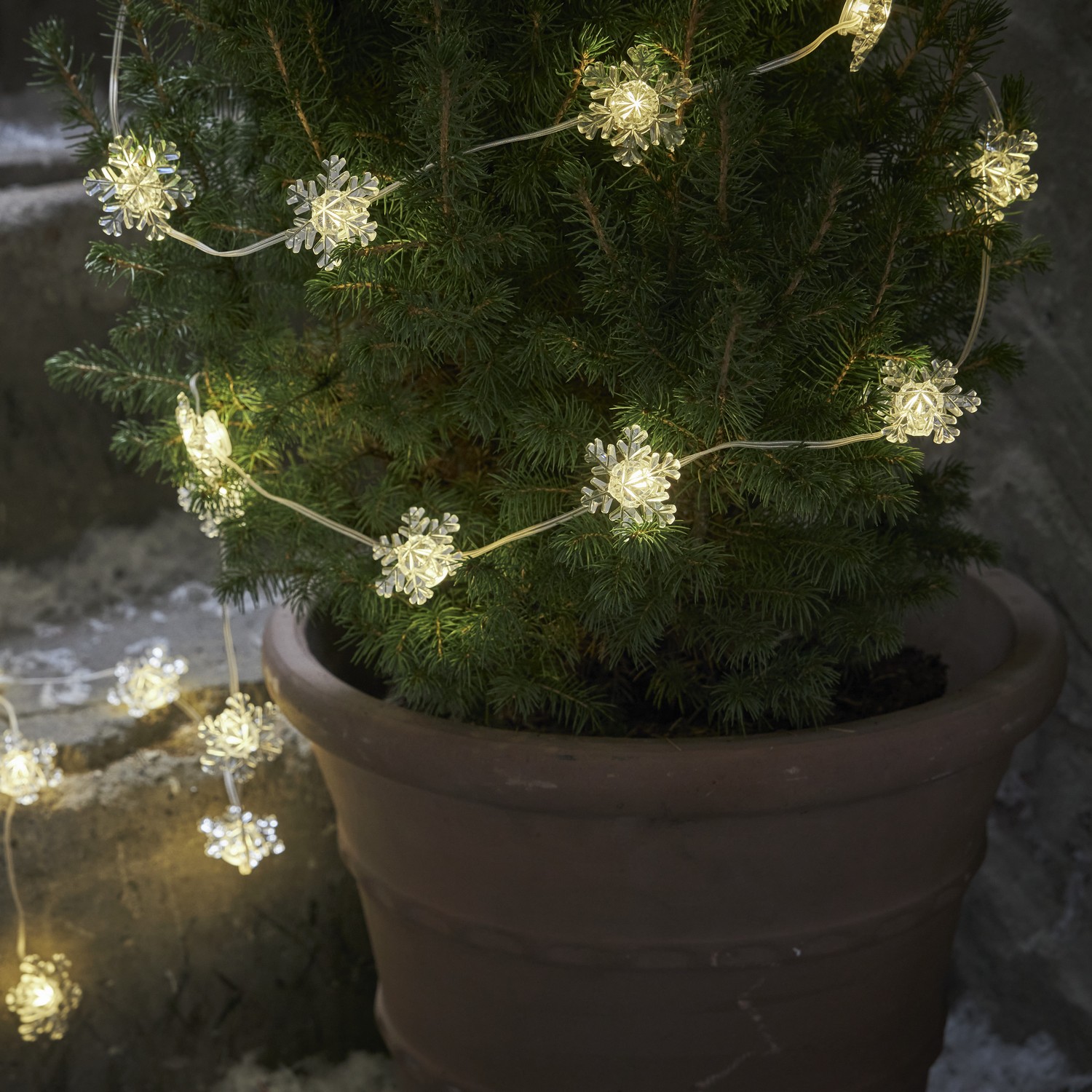 Lyslenke Star Trading Snowstar