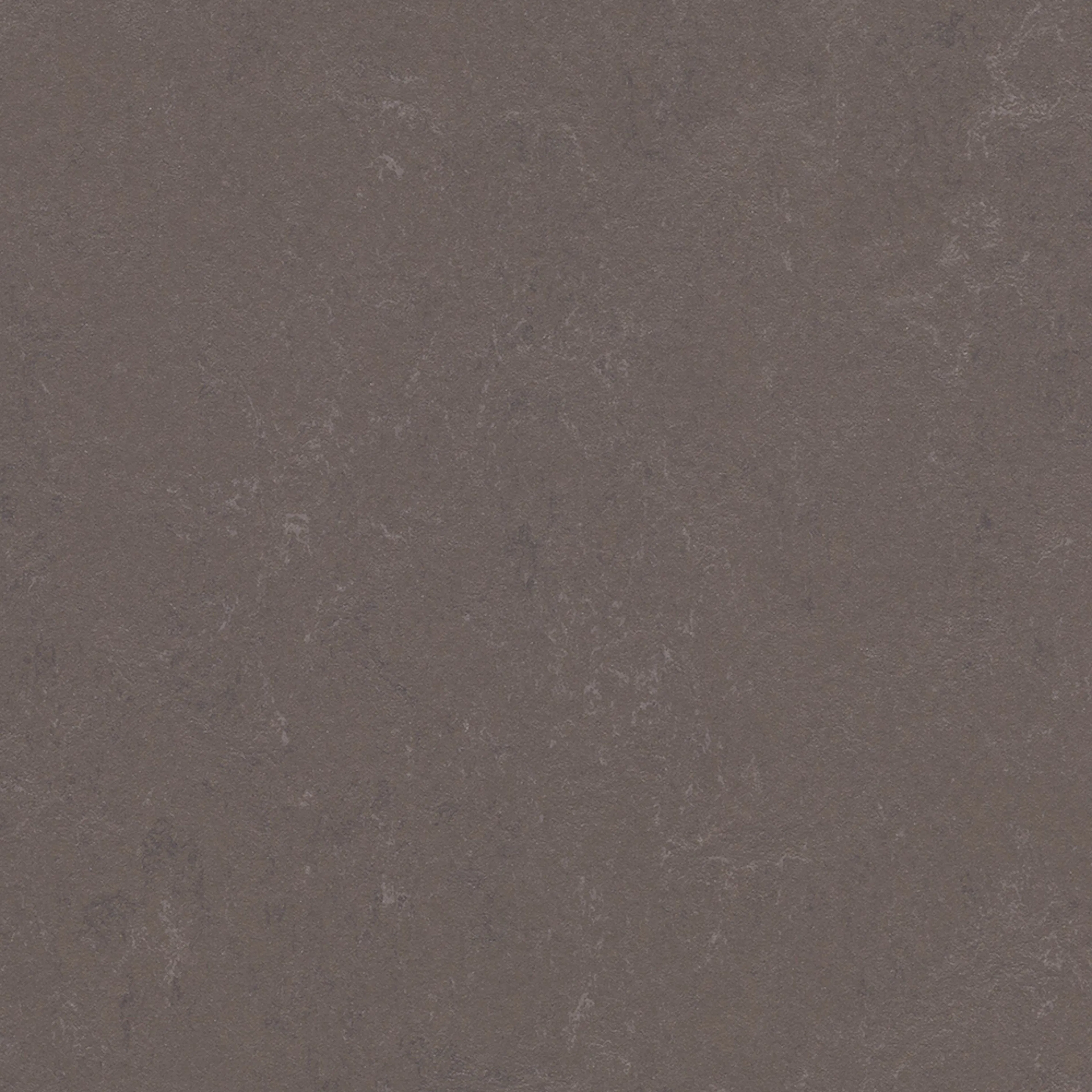 Linoleumgolv Forbo Marmoleum Modular Delta Lace