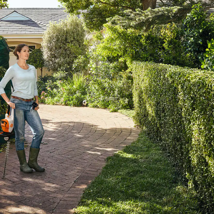 Hekksaks STIHL HSA 50 Batteridrevet