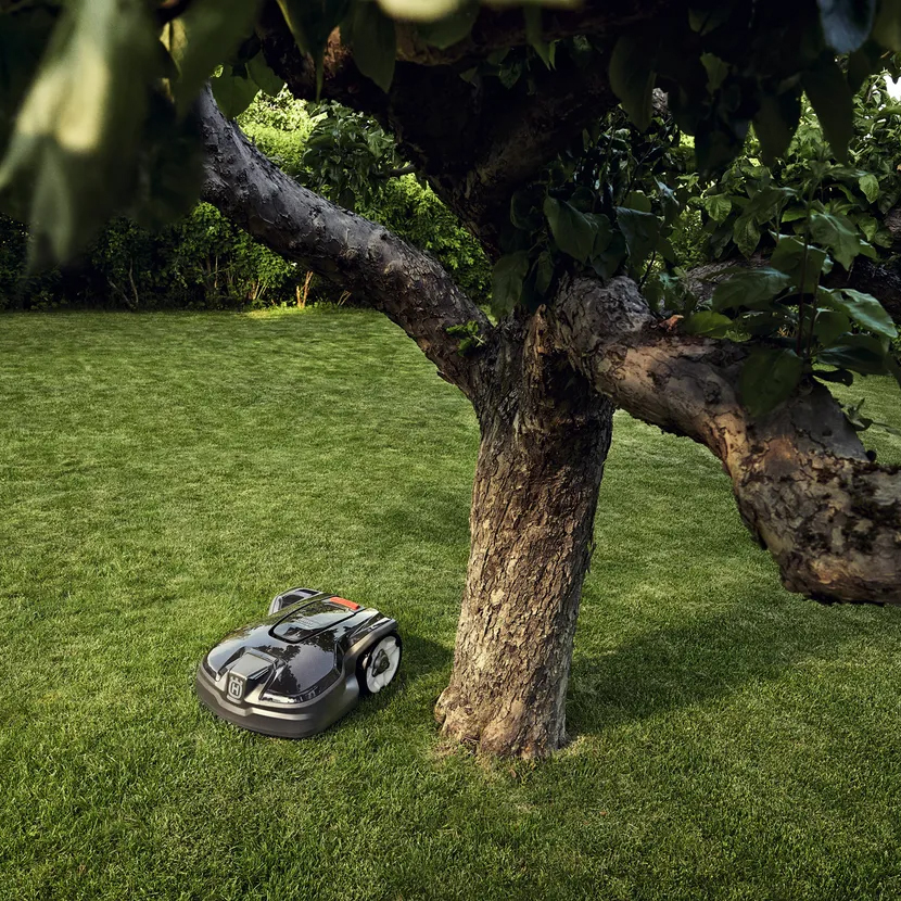 Robotgressklipper Husqvarna Automower 305