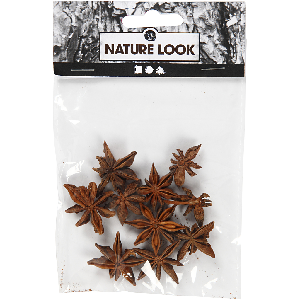 Anisstjerner Creativ Company 10 stk/1 Pk