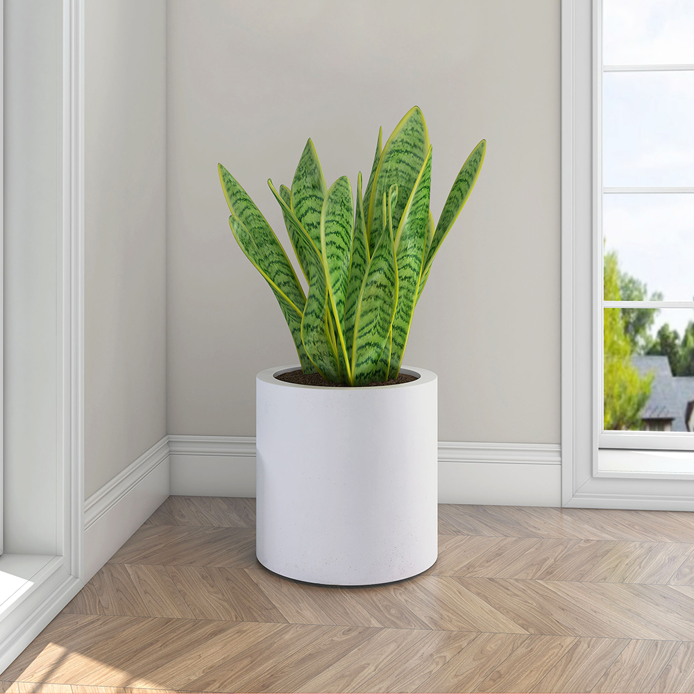 Krukke Lyfco Rund og Høy Hvit 3-pk