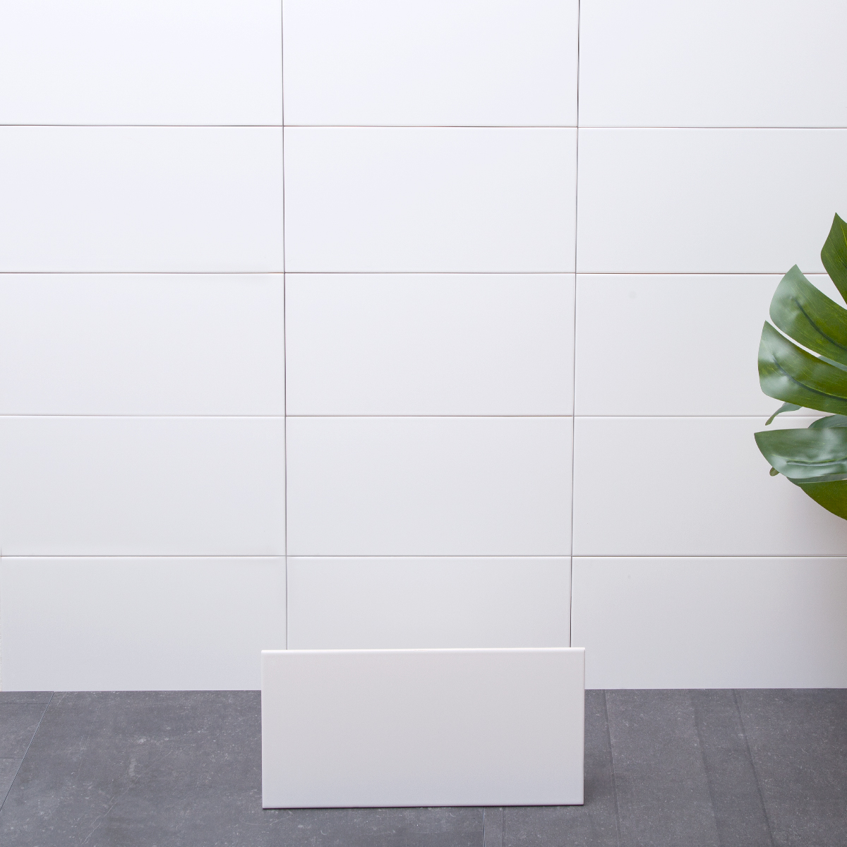Flis Arredo Polar Hvit Matt 20x40 cm