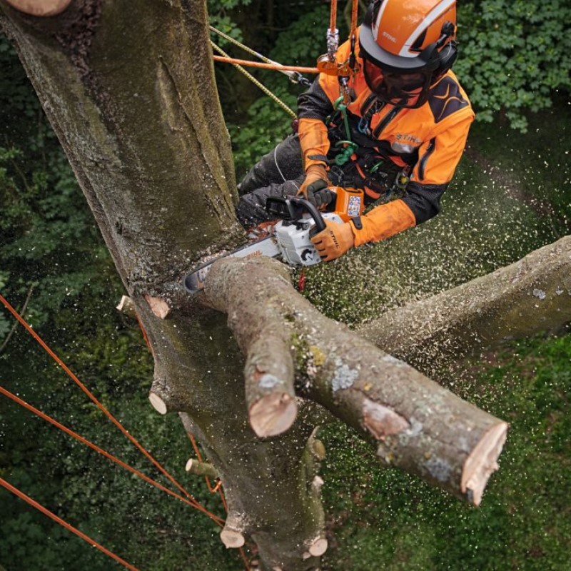 Motorsag STIHL MSA 220 C-B Batteridrevet