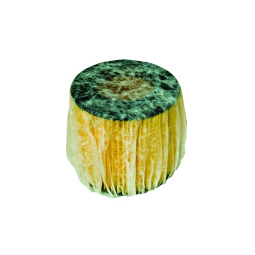 Filterbeskyttelse Allaway