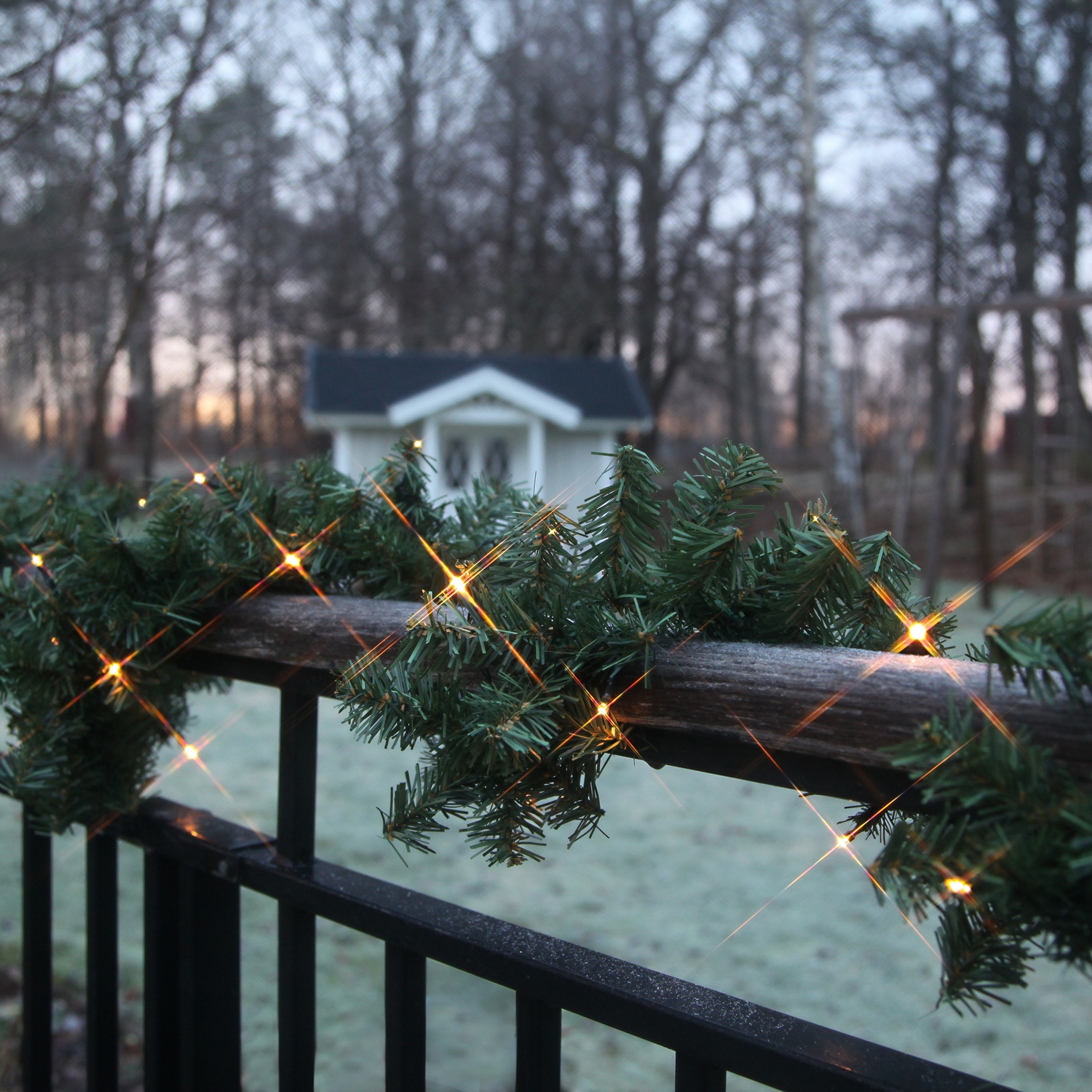 Girlander Star Trading Canadian