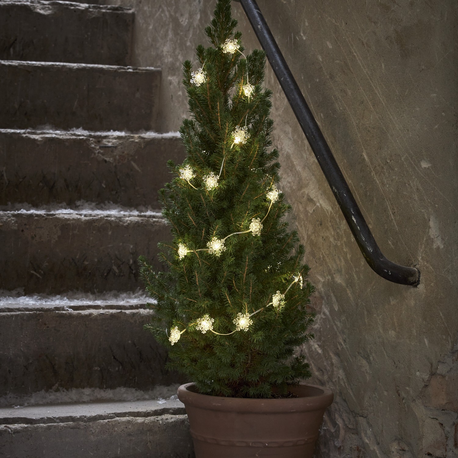 Lyslenke Star Trading Snowstar