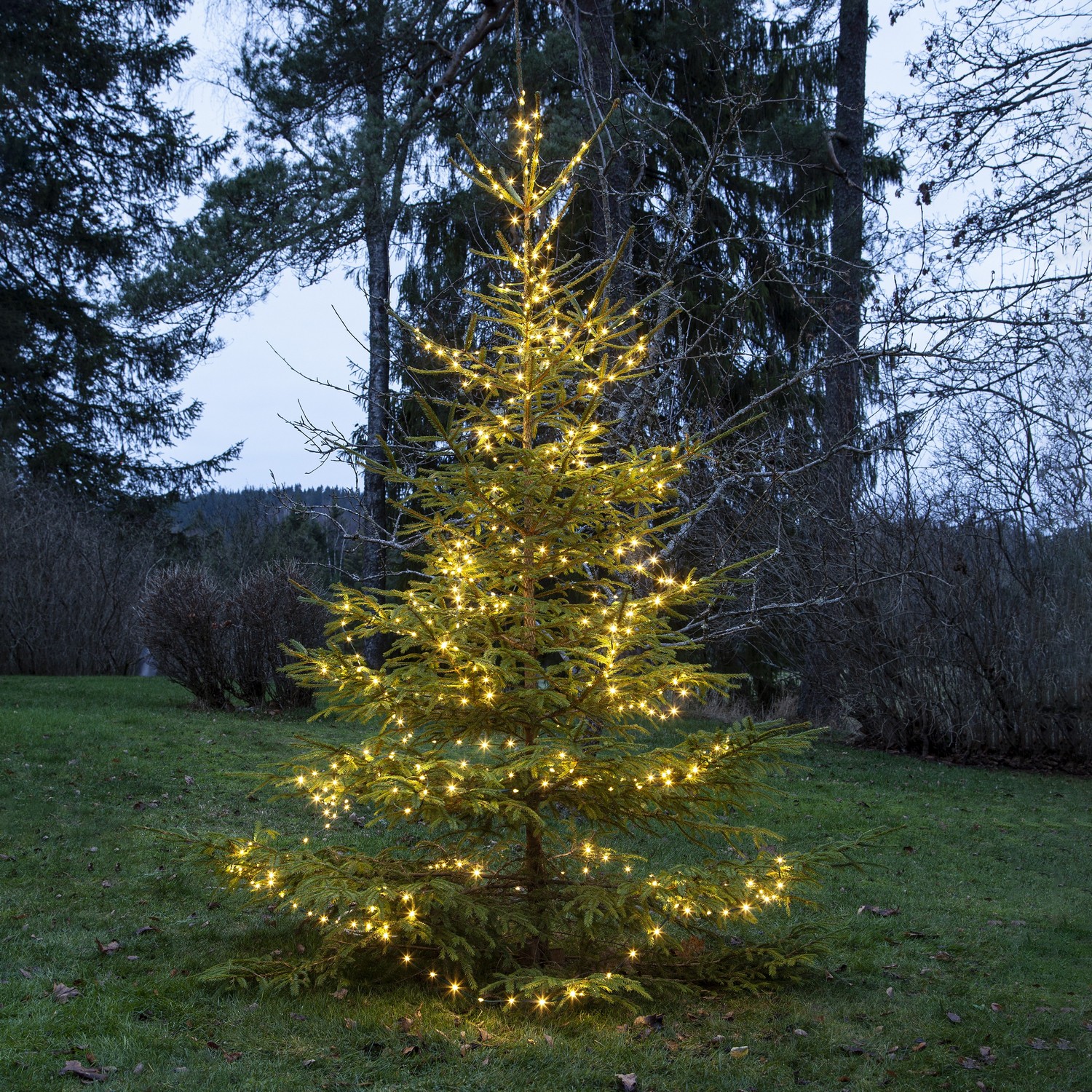 Lyslenke Star Trading Dew Drop Micro