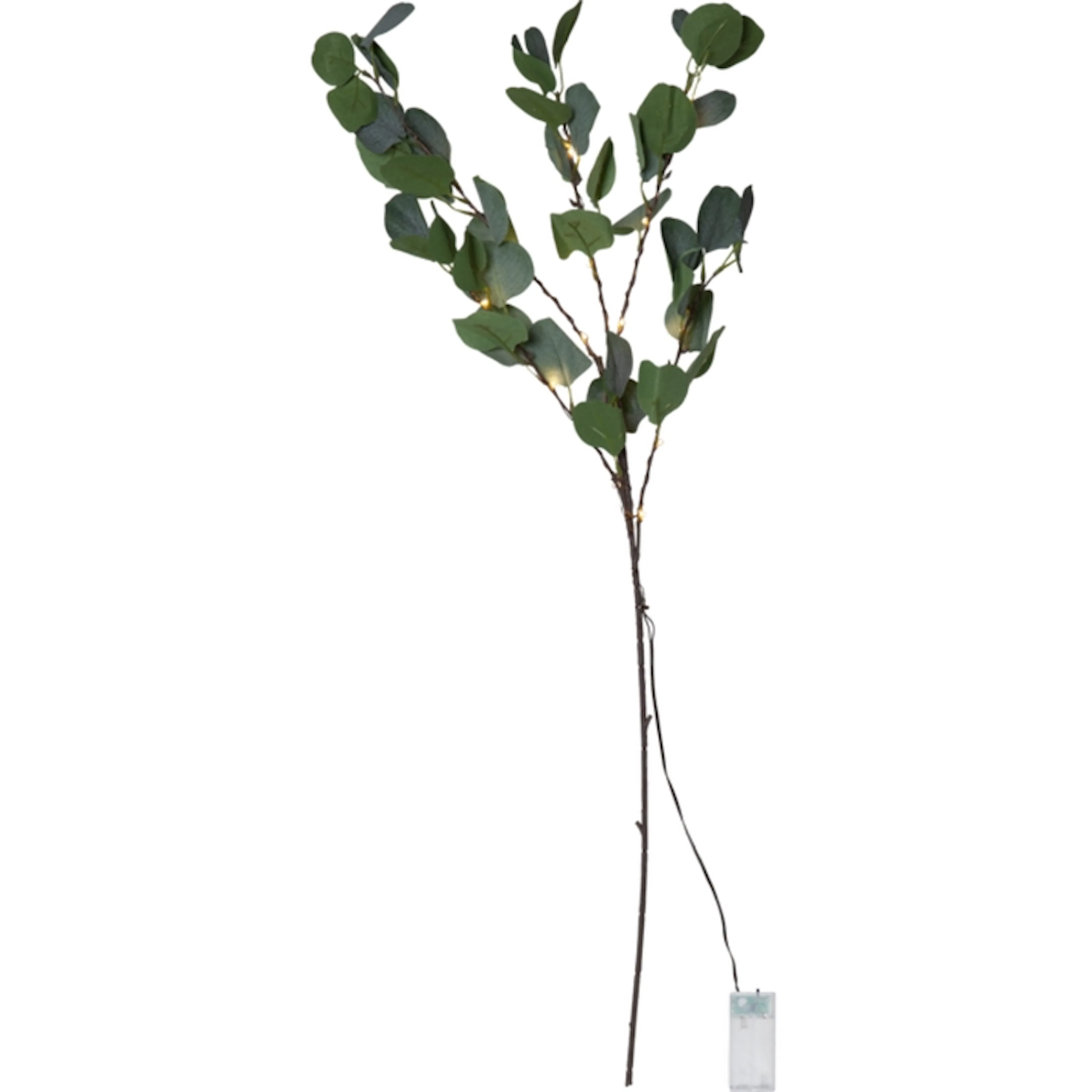 Dekorasjonsgren Star Trading Eucalyptus