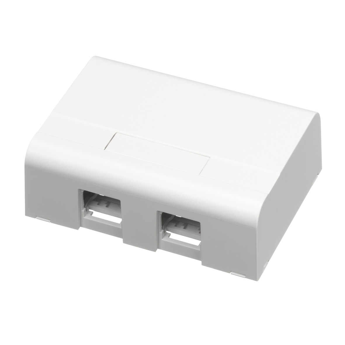 Monteringsboks Schneider Electric 2XRJ45 Hvit