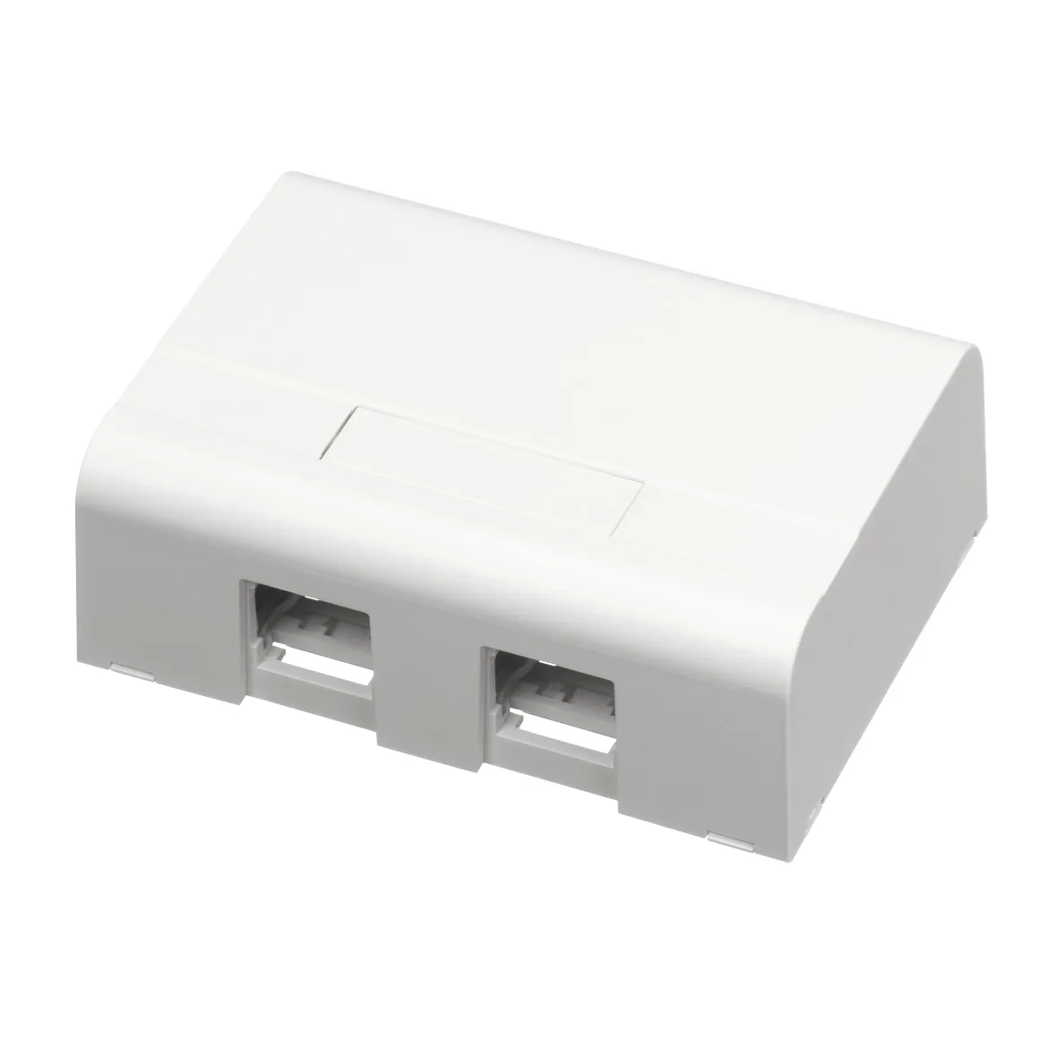 Monteringsboks Schneider Electric 2XRJ45 Hvit