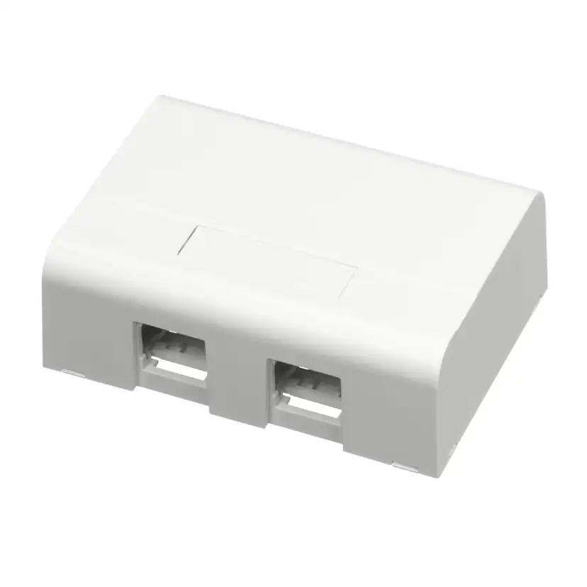 Monteringsboks Schneider Electric 2XRJ45 Hvit
