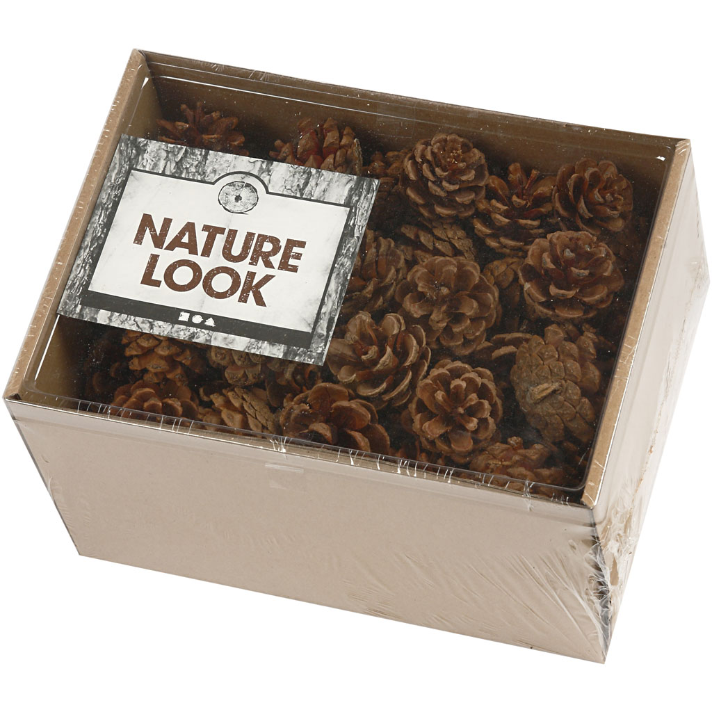 Kongler Creativ Company D40 mm 1 Pk