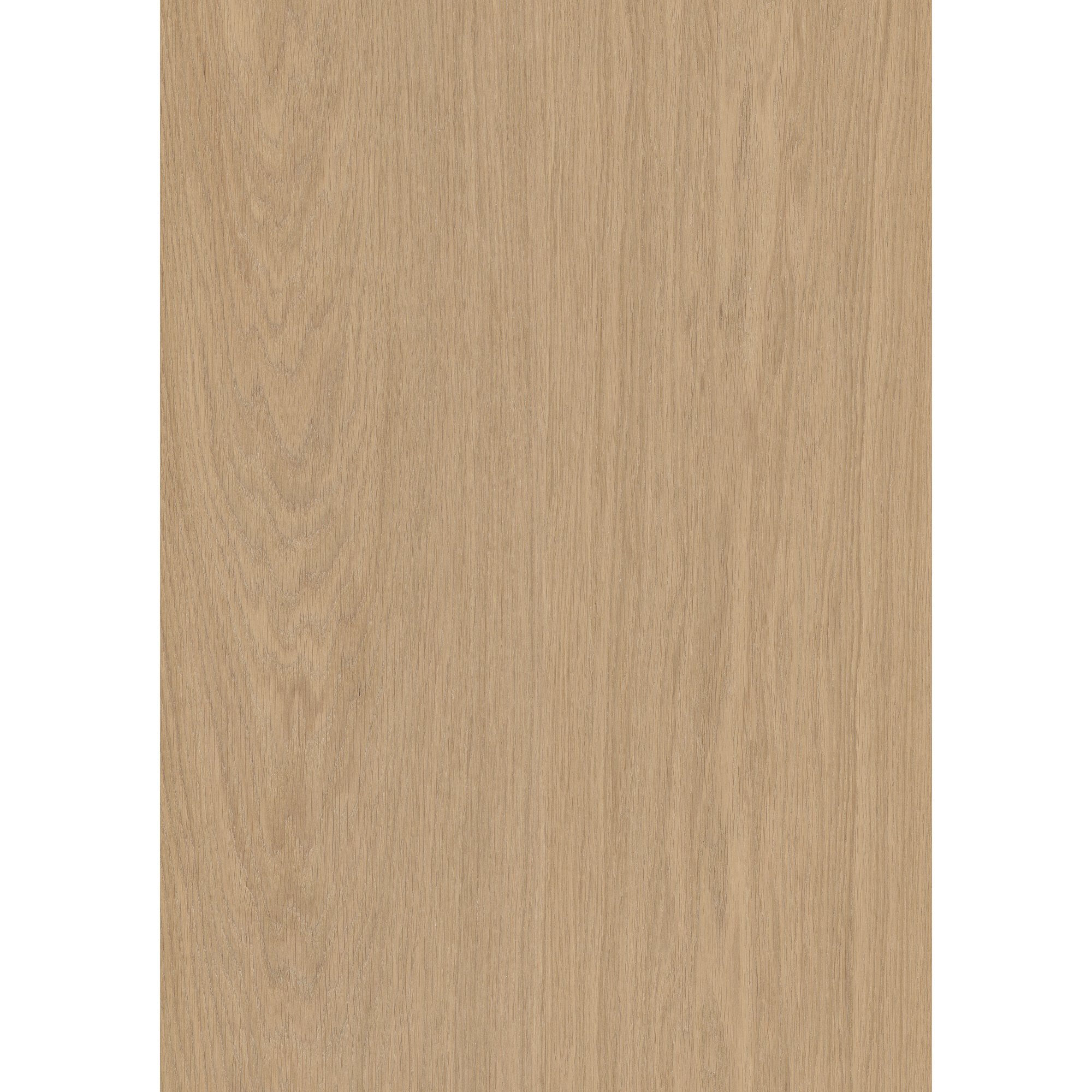 VEJBY 3.0 XXL