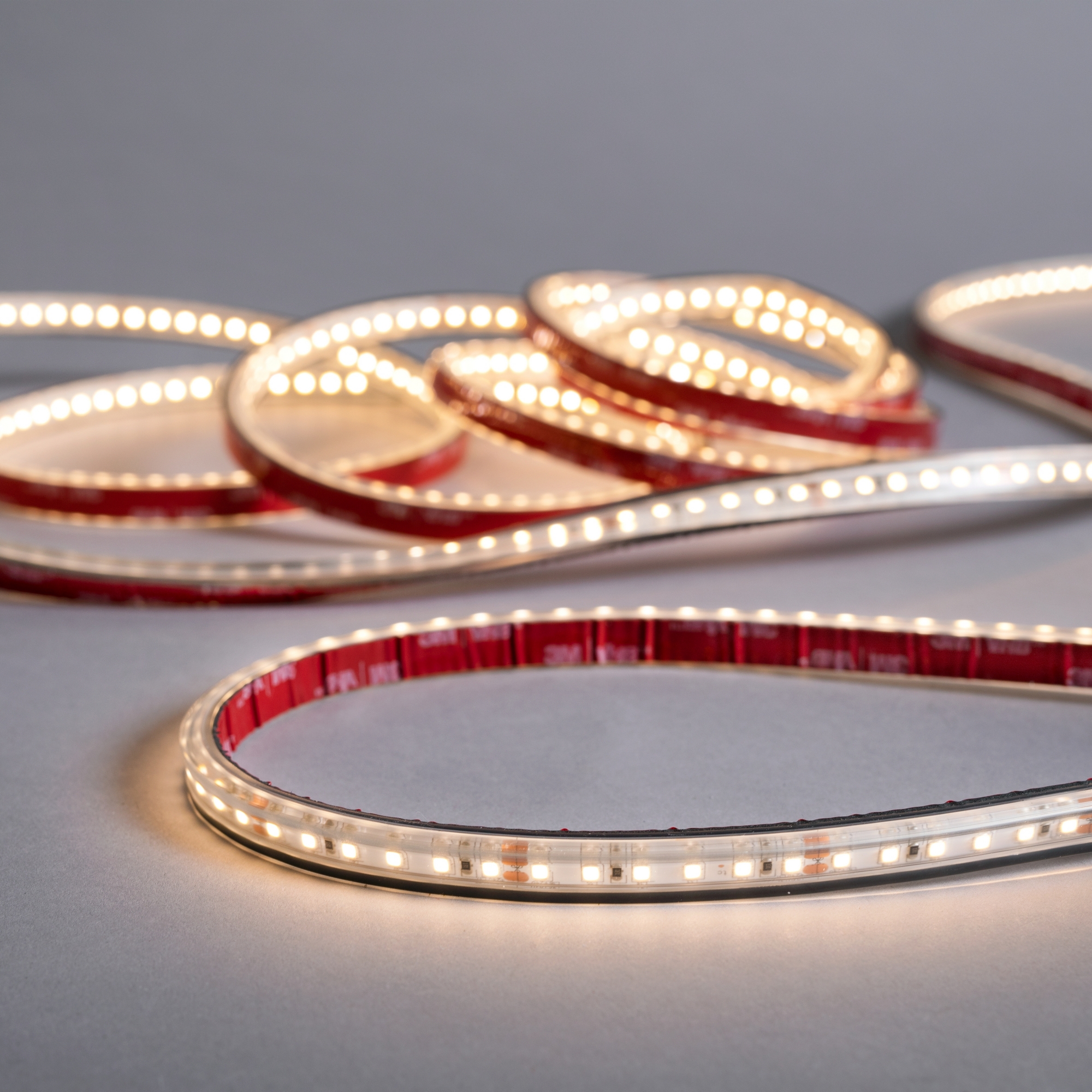 LED-strip Hide-a-lite Midlum 24V IP67 5 m