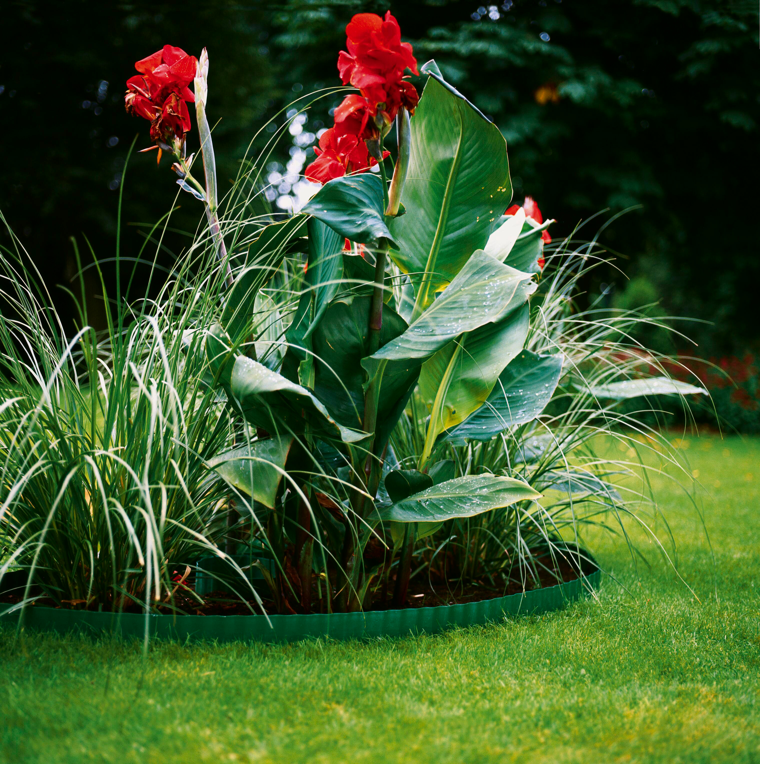 Gresskantbånd Gardena 9 m