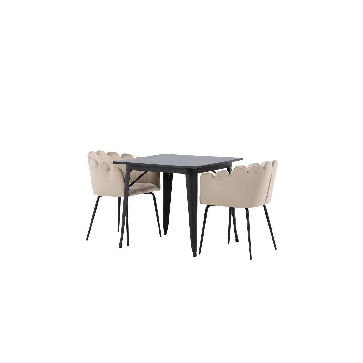 Spisegruppe Venture Home Tempe med 2 Limhamn Stoler