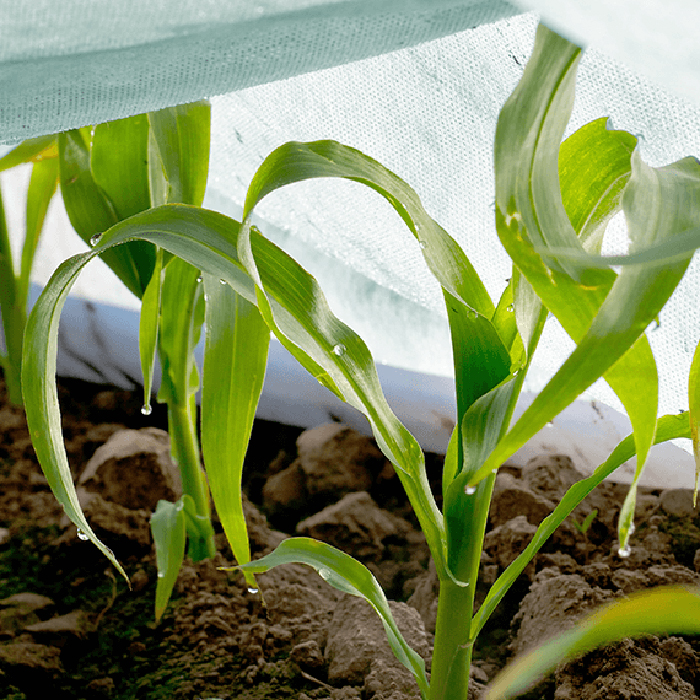 Fiberduk Jabo Agrimpex Agro-Marina 1,6x10 m Turkis