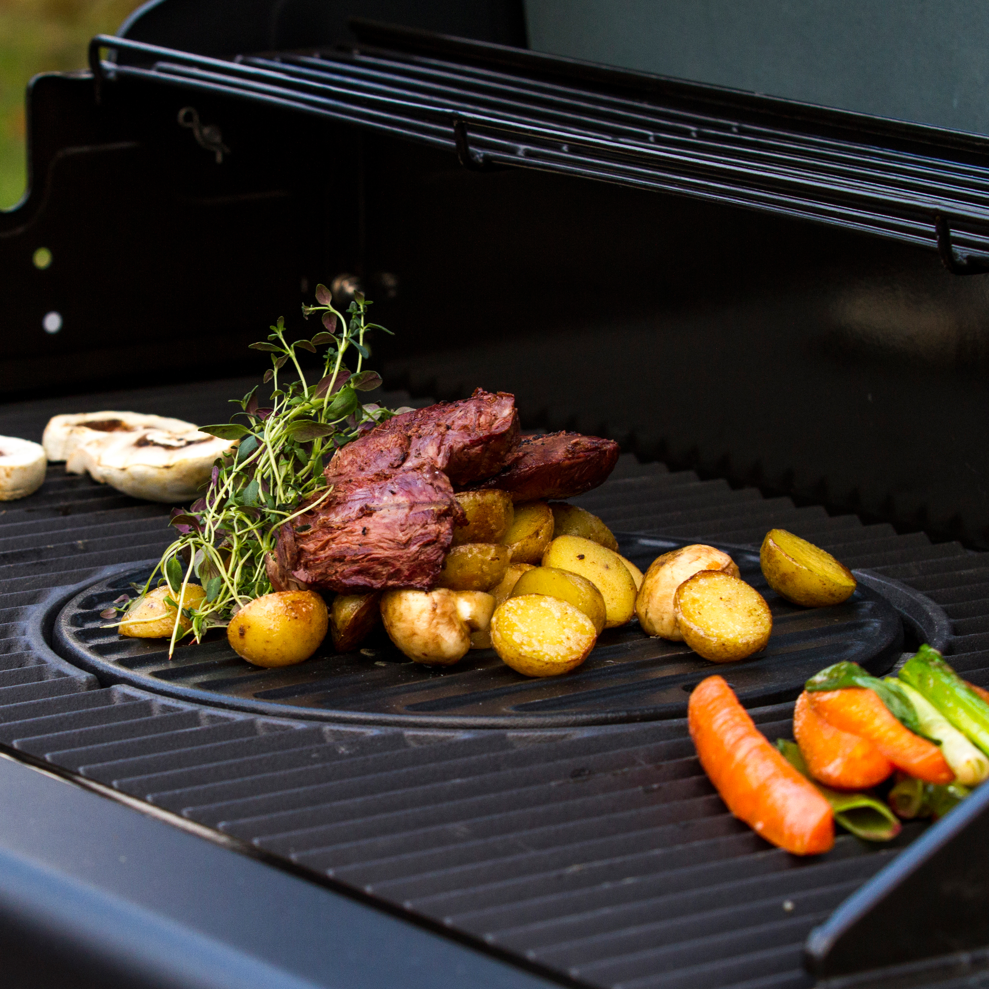 Grillplate Sunwind Insert System