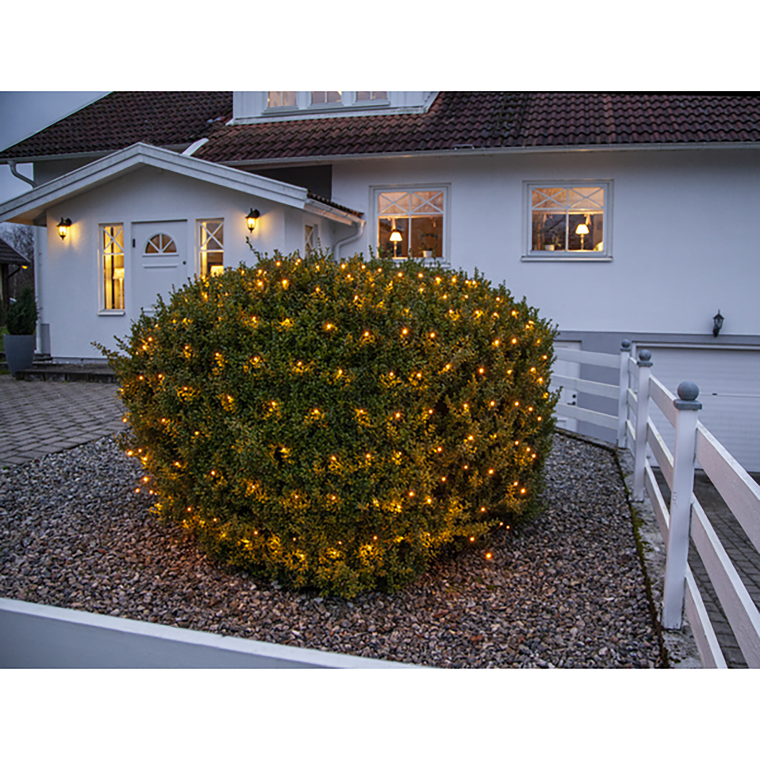 Lysnett Star Trading Golden