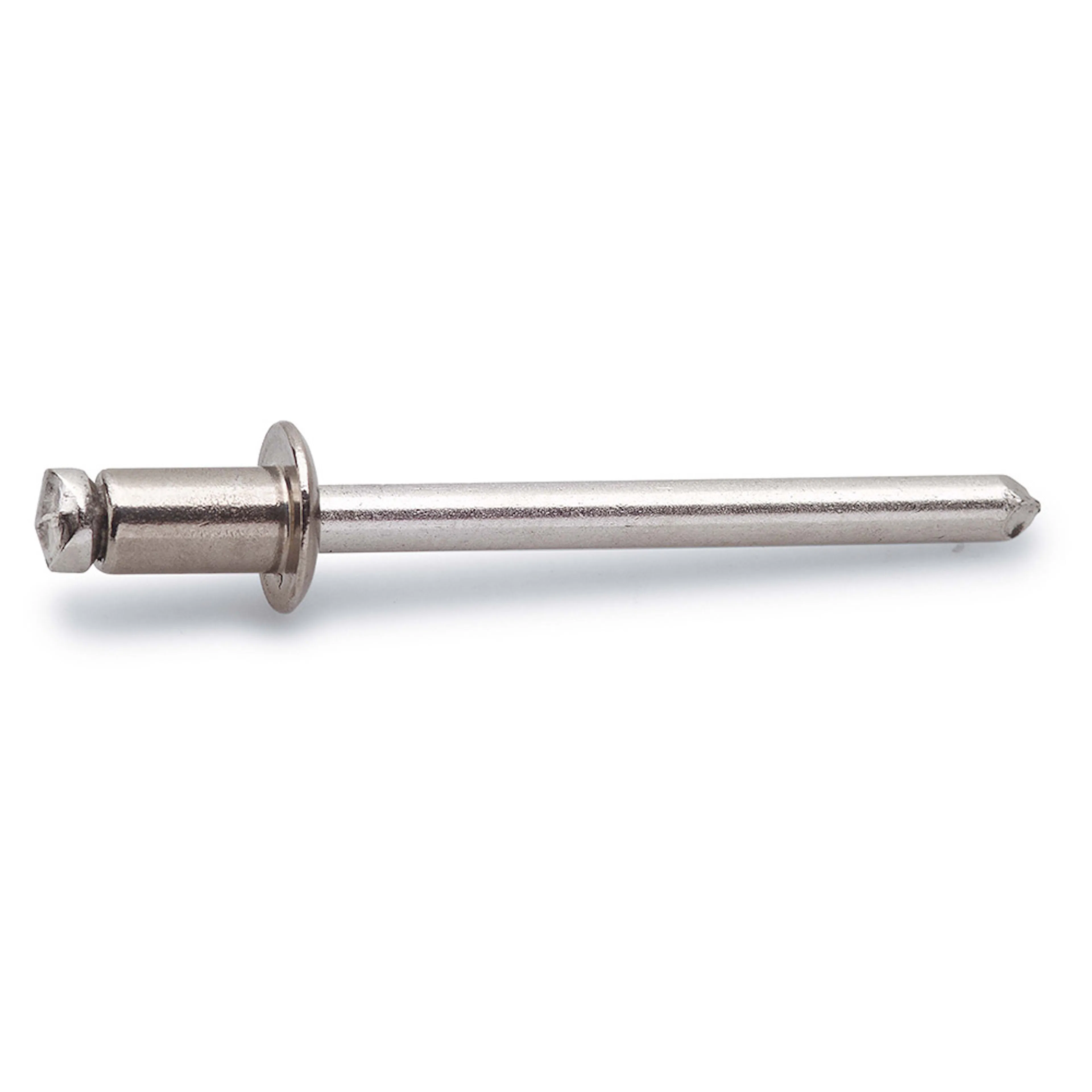 Blindnagle FAST RFR 25 ST