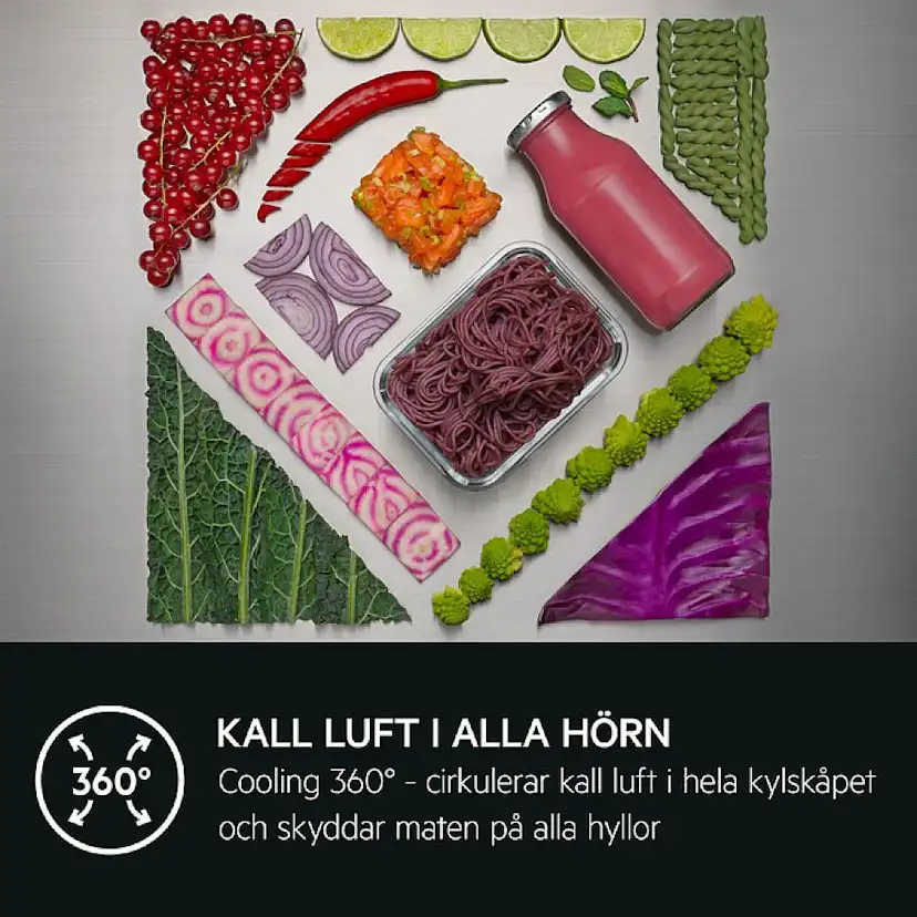 Frittstående Kjøleskap AEG ORK8M391DL Sort med Cooling 360° og CustomFlex®