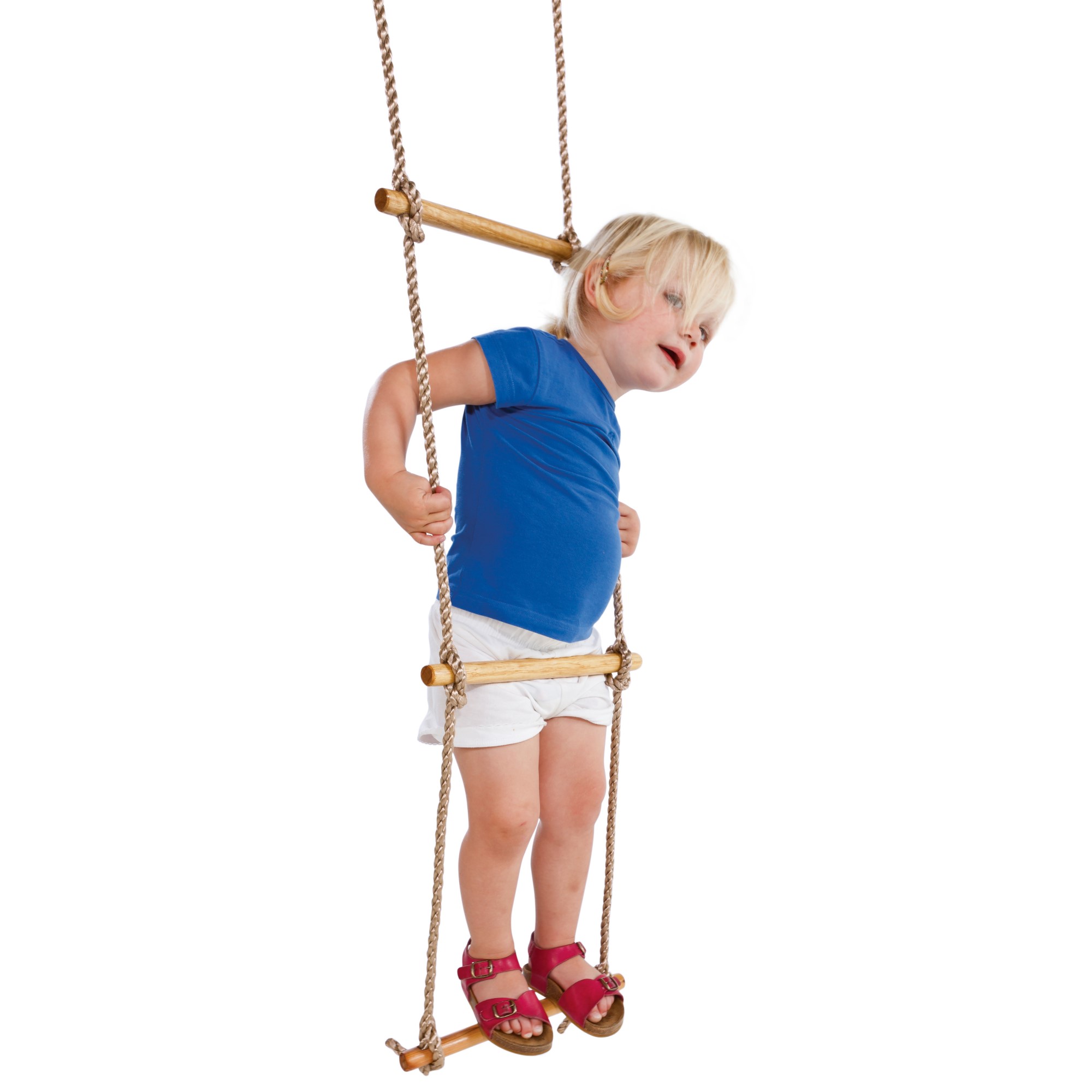 Taustige Palmako 5 Trinn