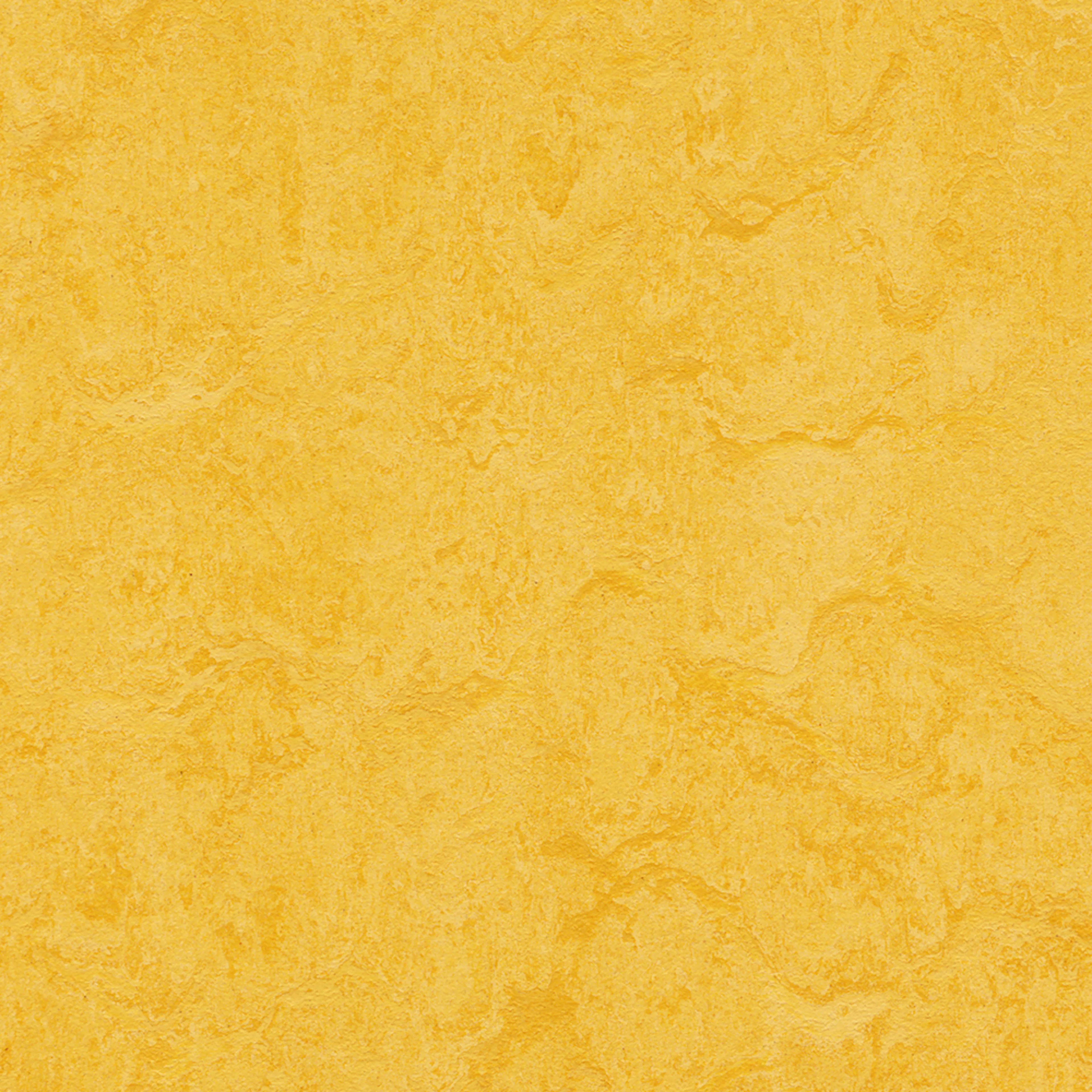 Linoleumsgulv Forbo Marmoleum Click Lemon Zest 30x30 cm