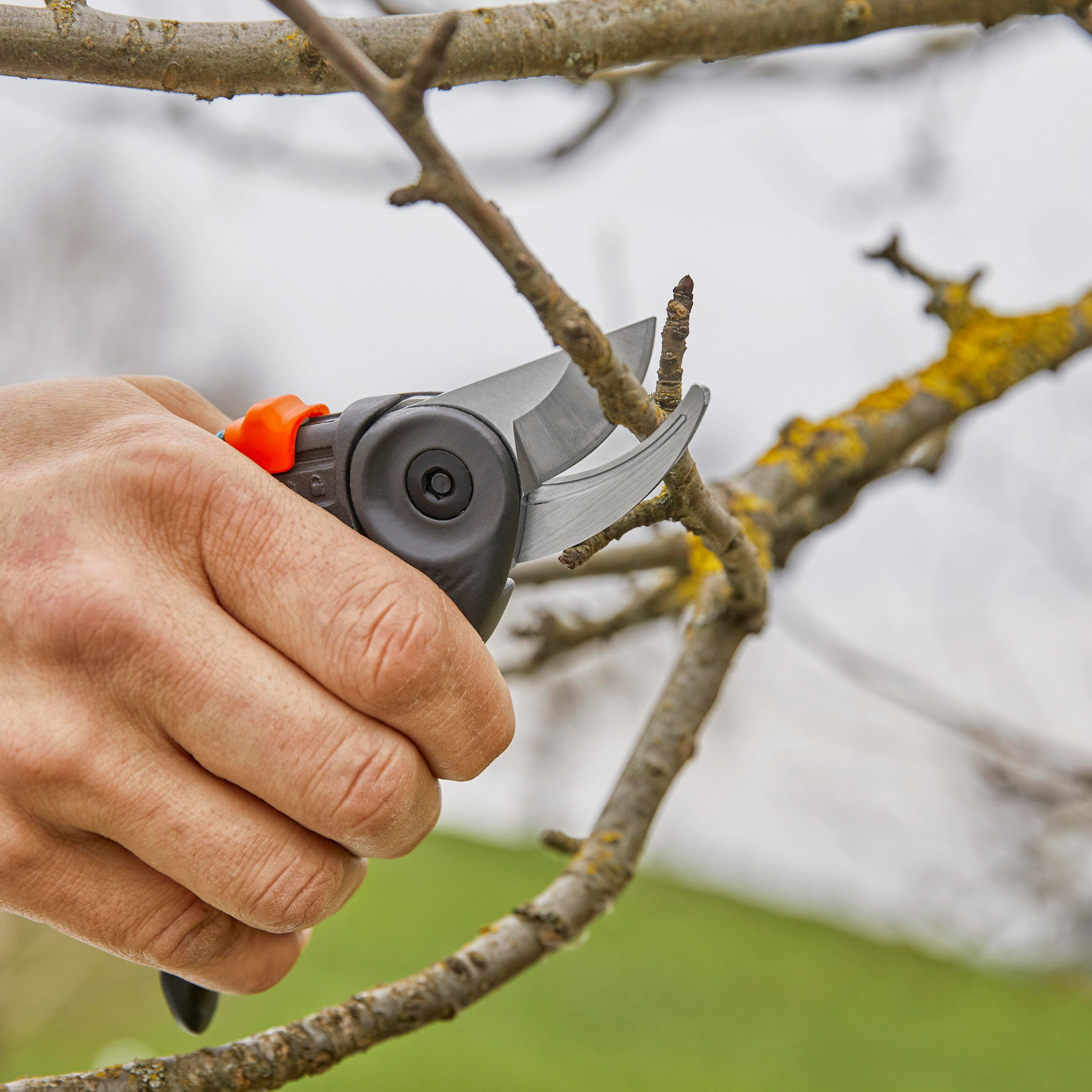 Beskjæringssaks Gardena Expertcut