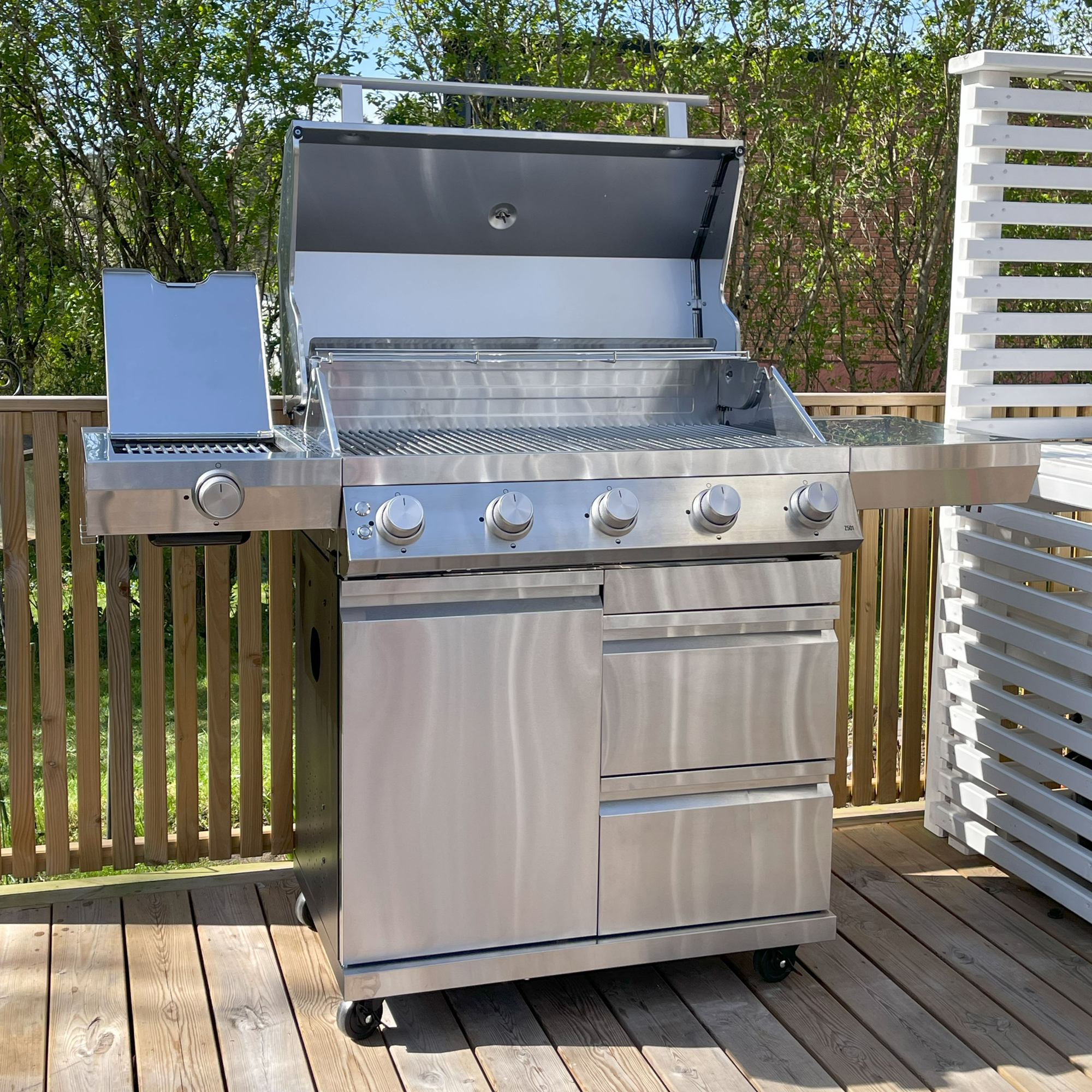 Gassgrill Bluegaz Z501
