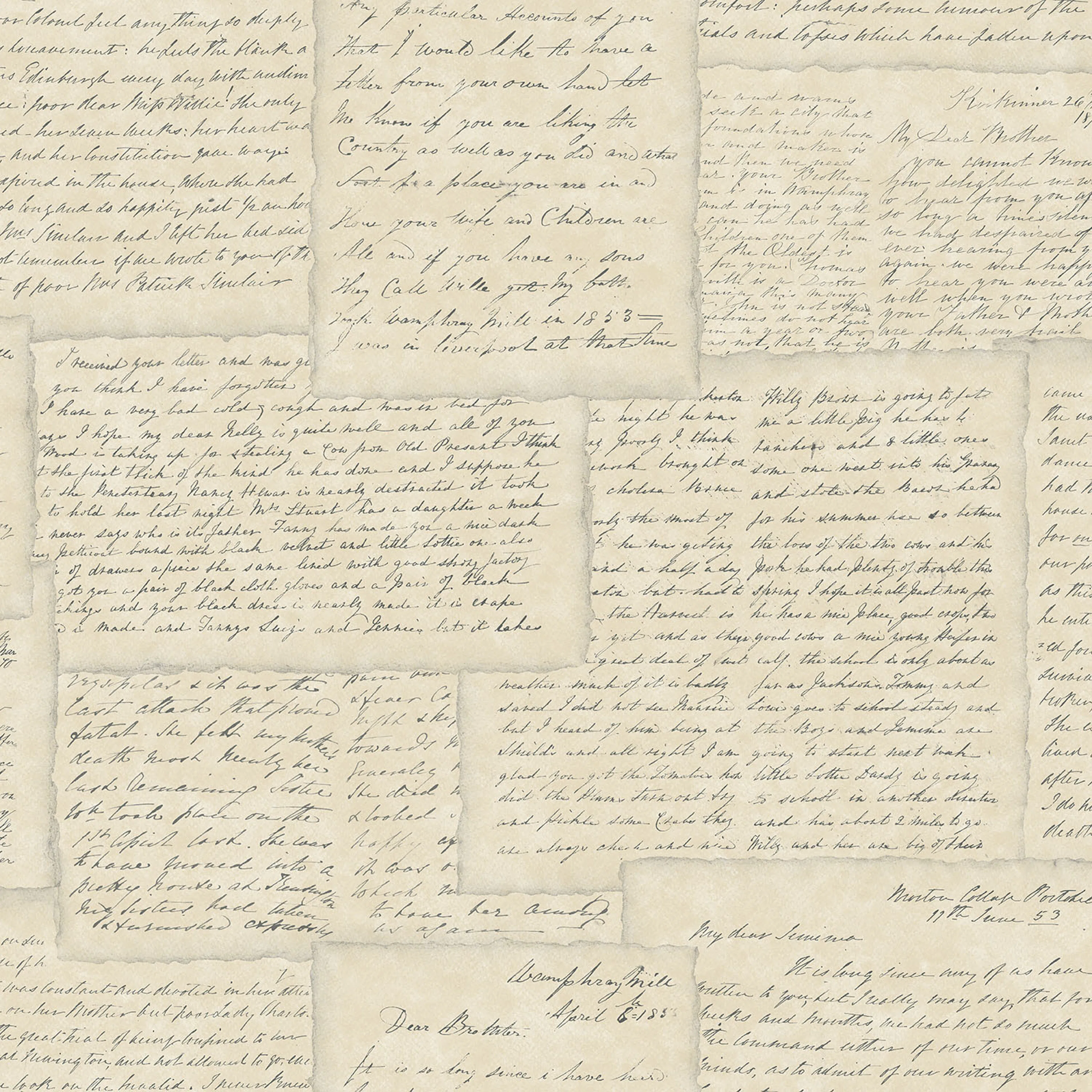 Tapet Galerie Wallcoverings Family Letters G56123