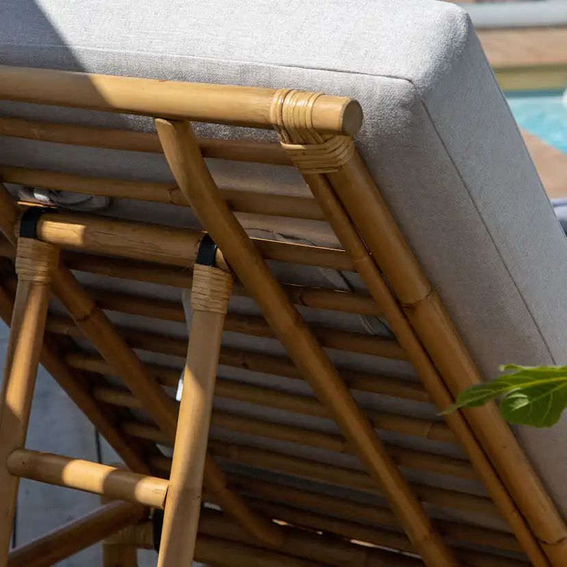Solseng Venture Home Cane
