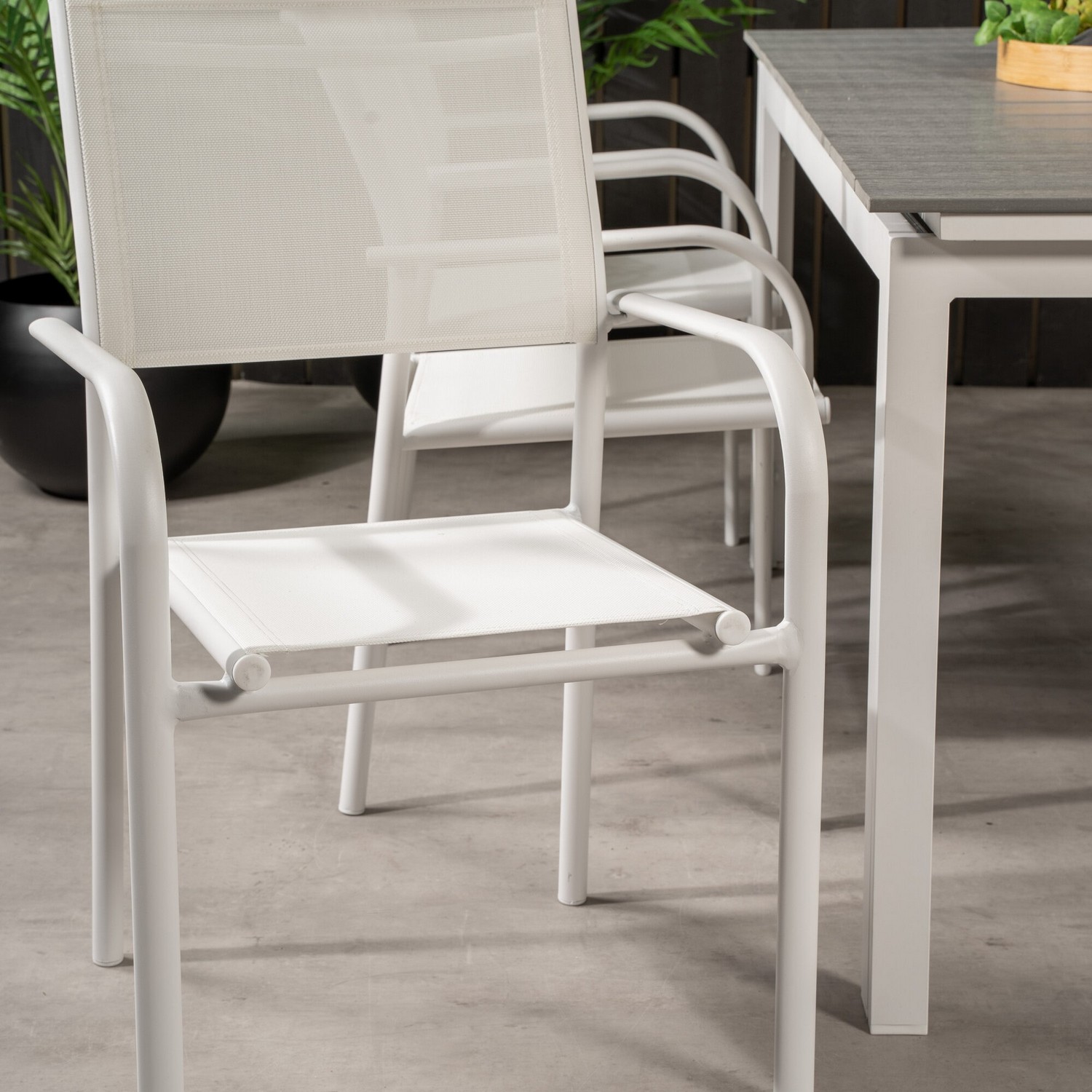 Spisegruppe Venture Home Lova 160/240 med 6 Siri Spisestoler