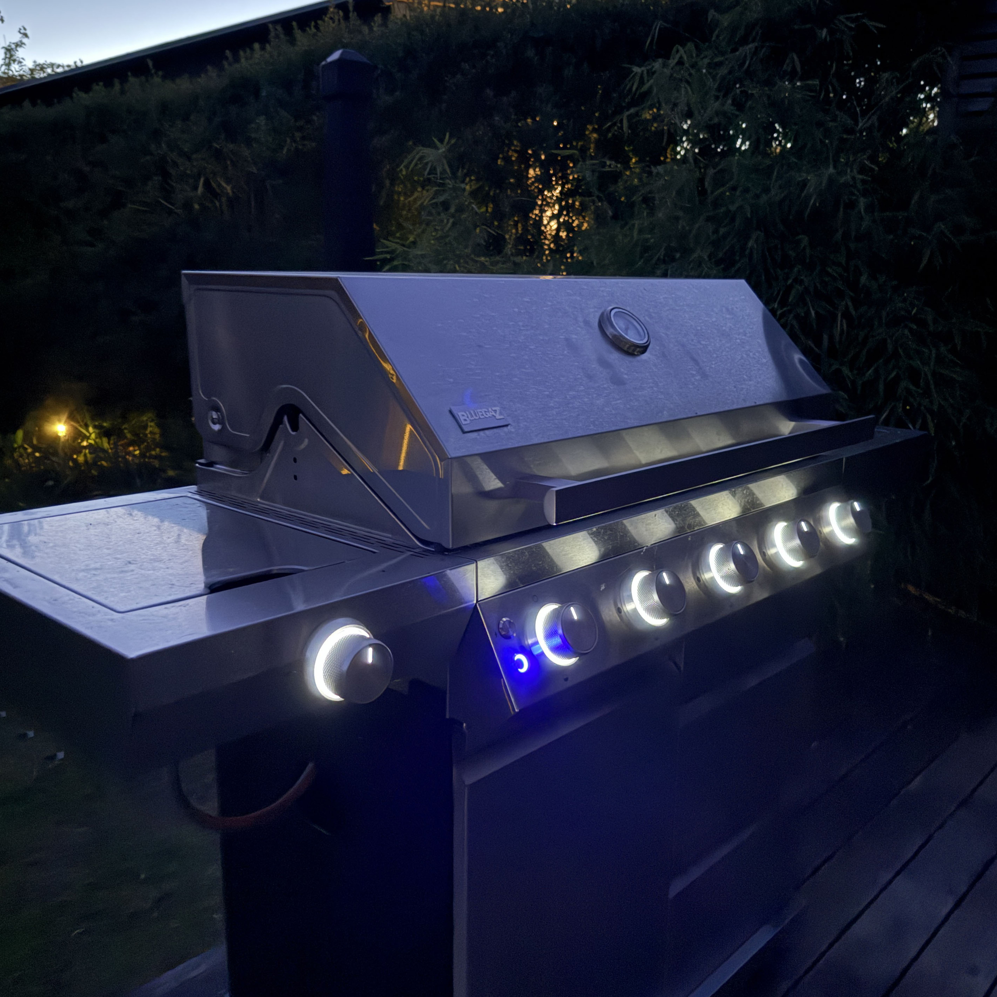 Gassgrill Bluegaz Z501