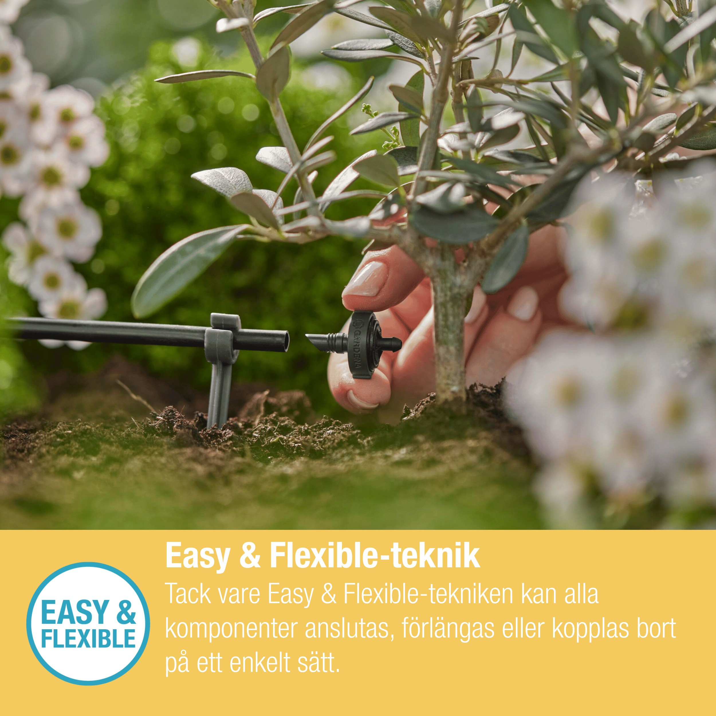 Dryppfordeler Gardena Micro-Drip 2 l/h Trykkregulerende