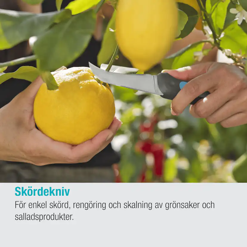 Kniv Gardena VeggieCut