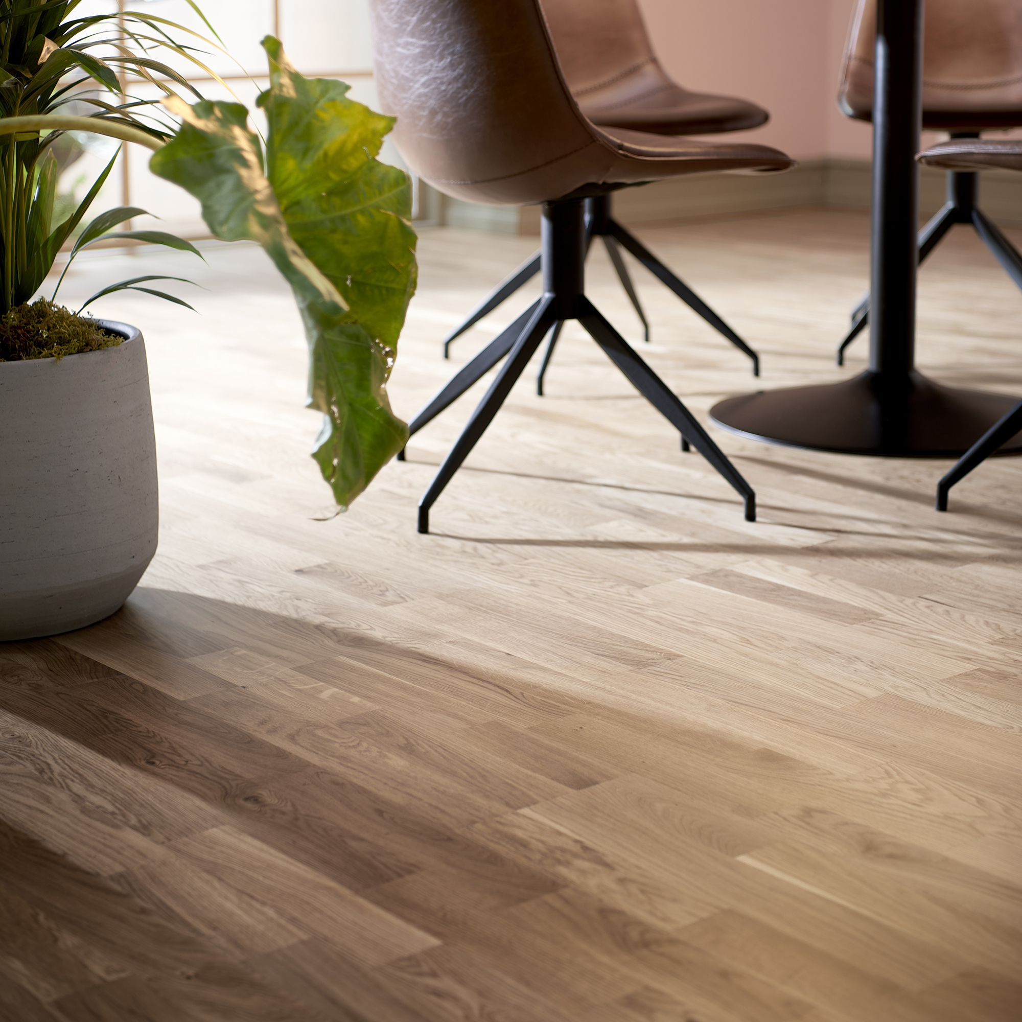 Parkettgolv Nordic Floor Ek Natur Mattlack 3-Stav