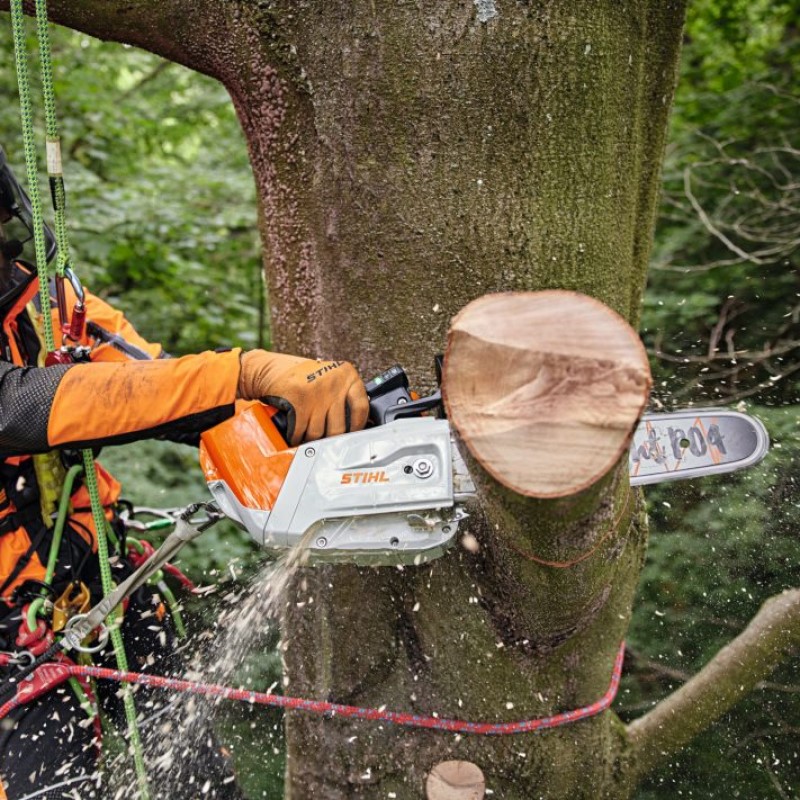 Motorsag STIHL MSA 220 C-B Batteridrevet