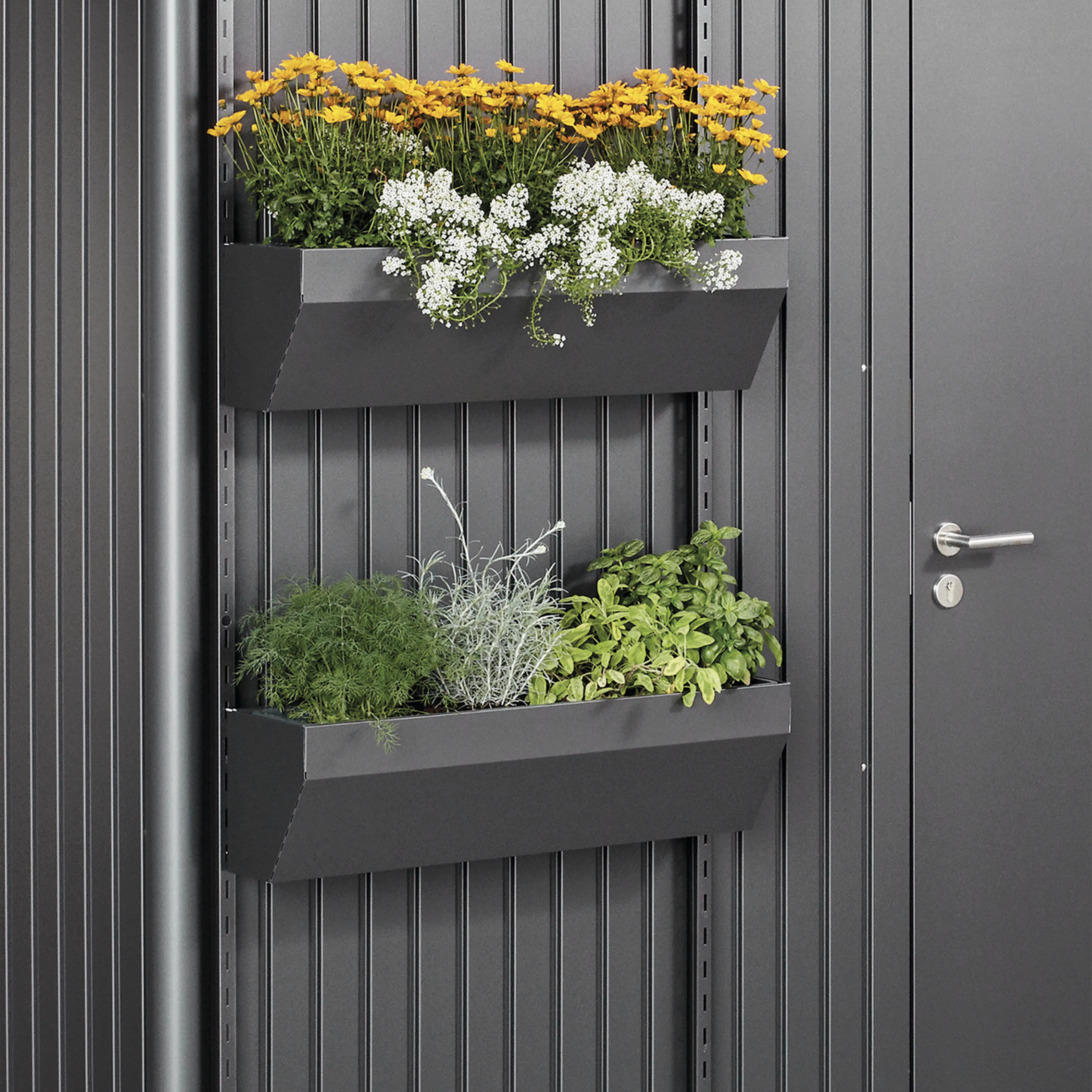 Blomsterkasse Biohort FloraBoard