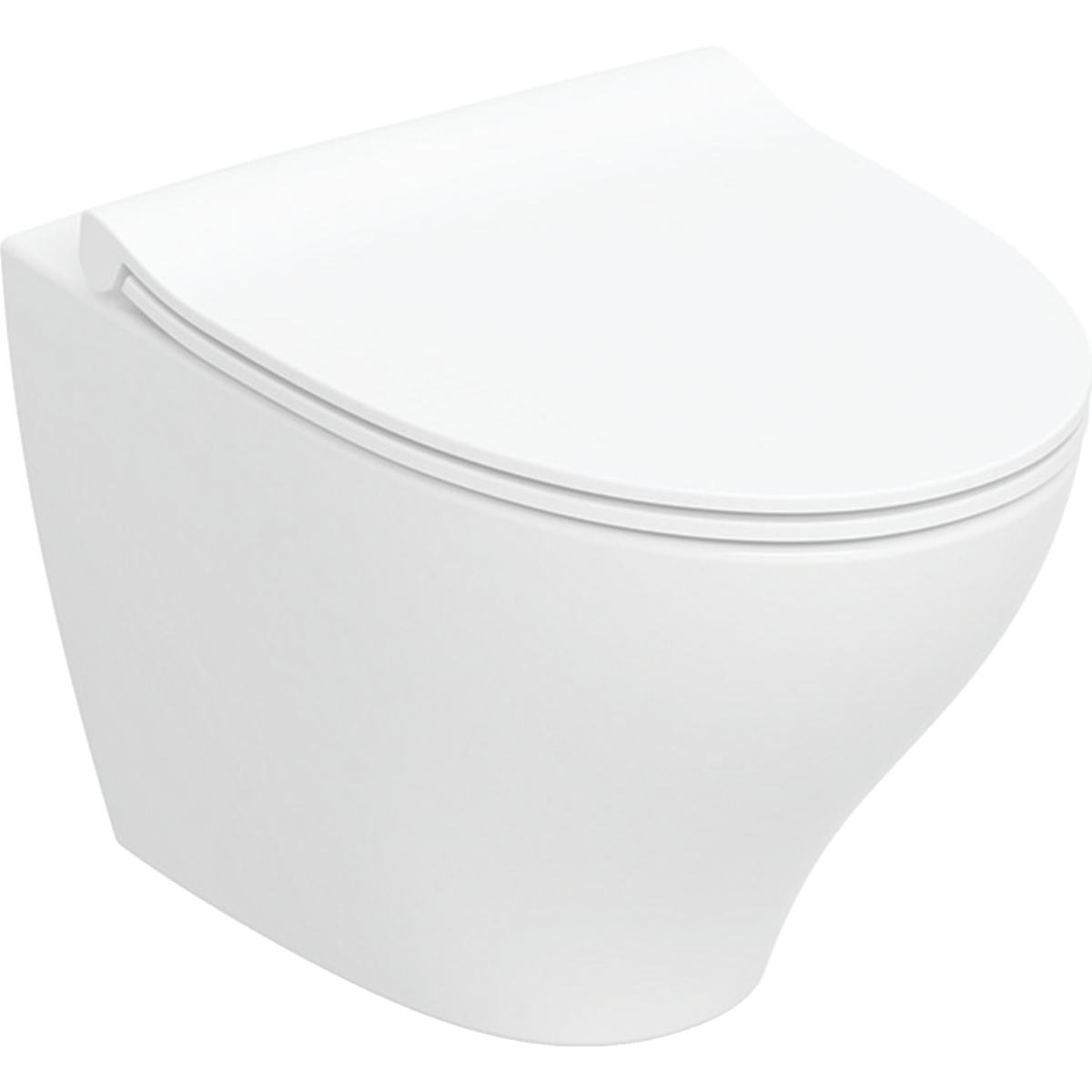 Vägghängd Toalettstol Ifö Spira Modern Rimfree