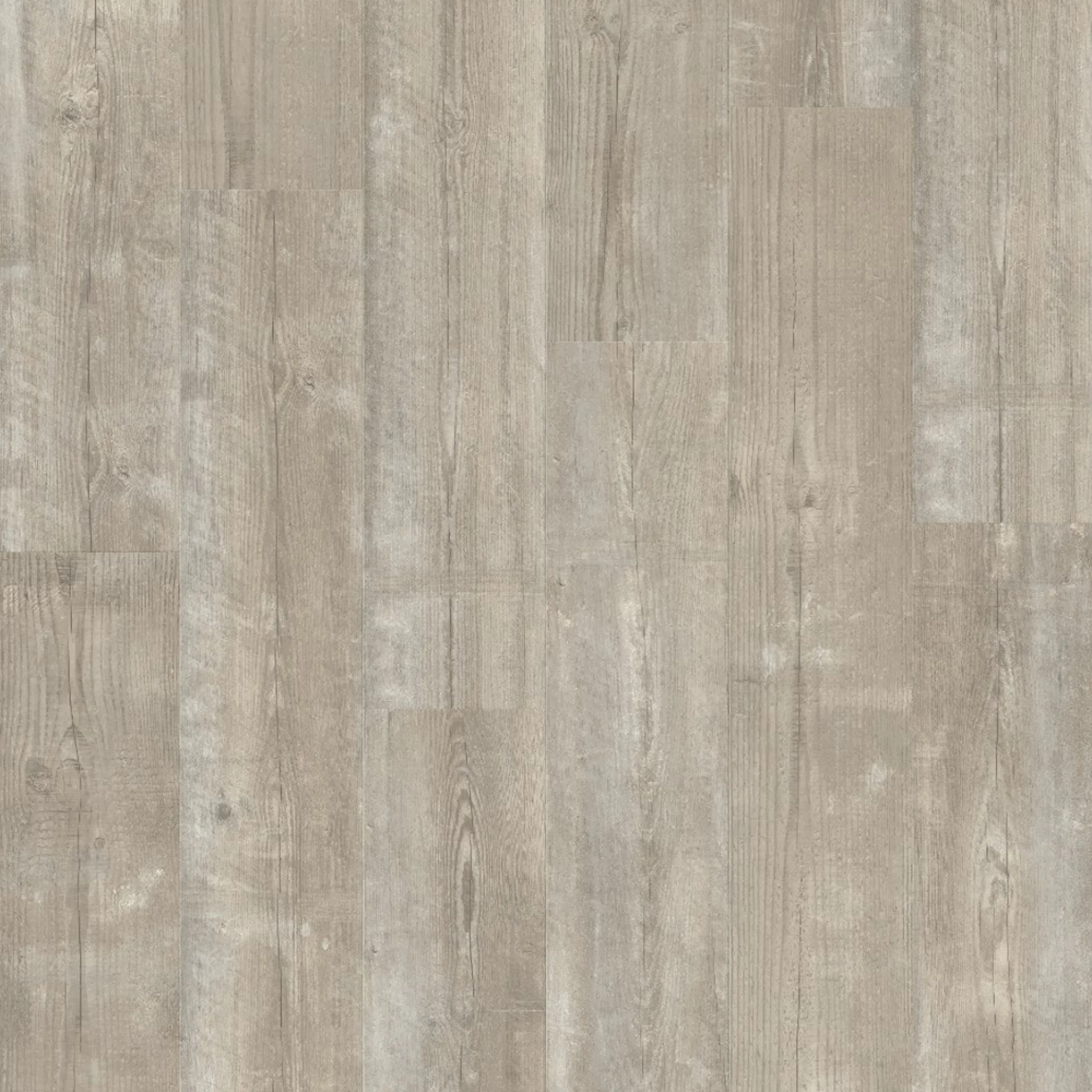 Vinylgulv Pergo Lysefjord Grey Cloud Pine
